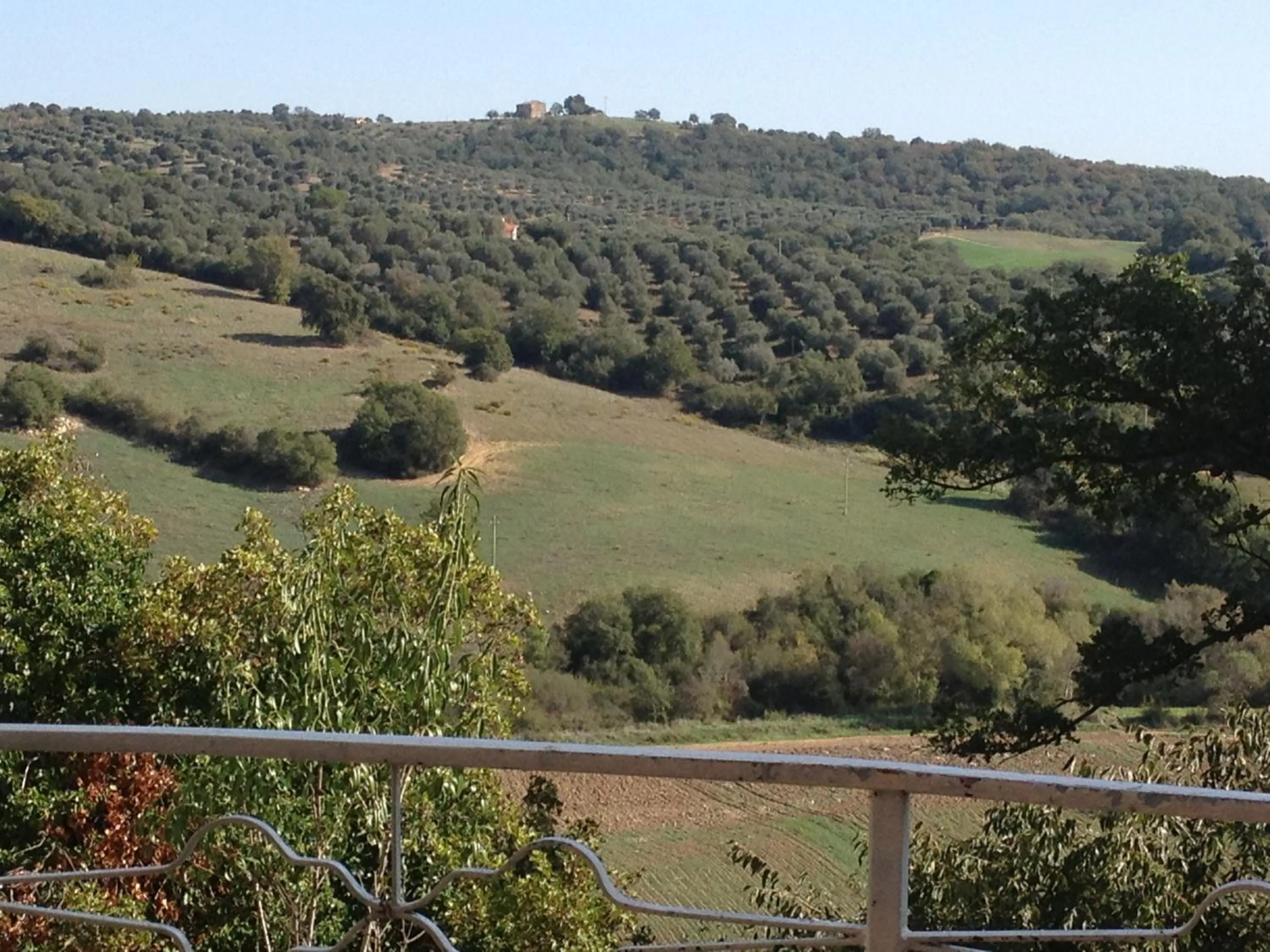 View (from property/room) in Le Tartarughe rooms