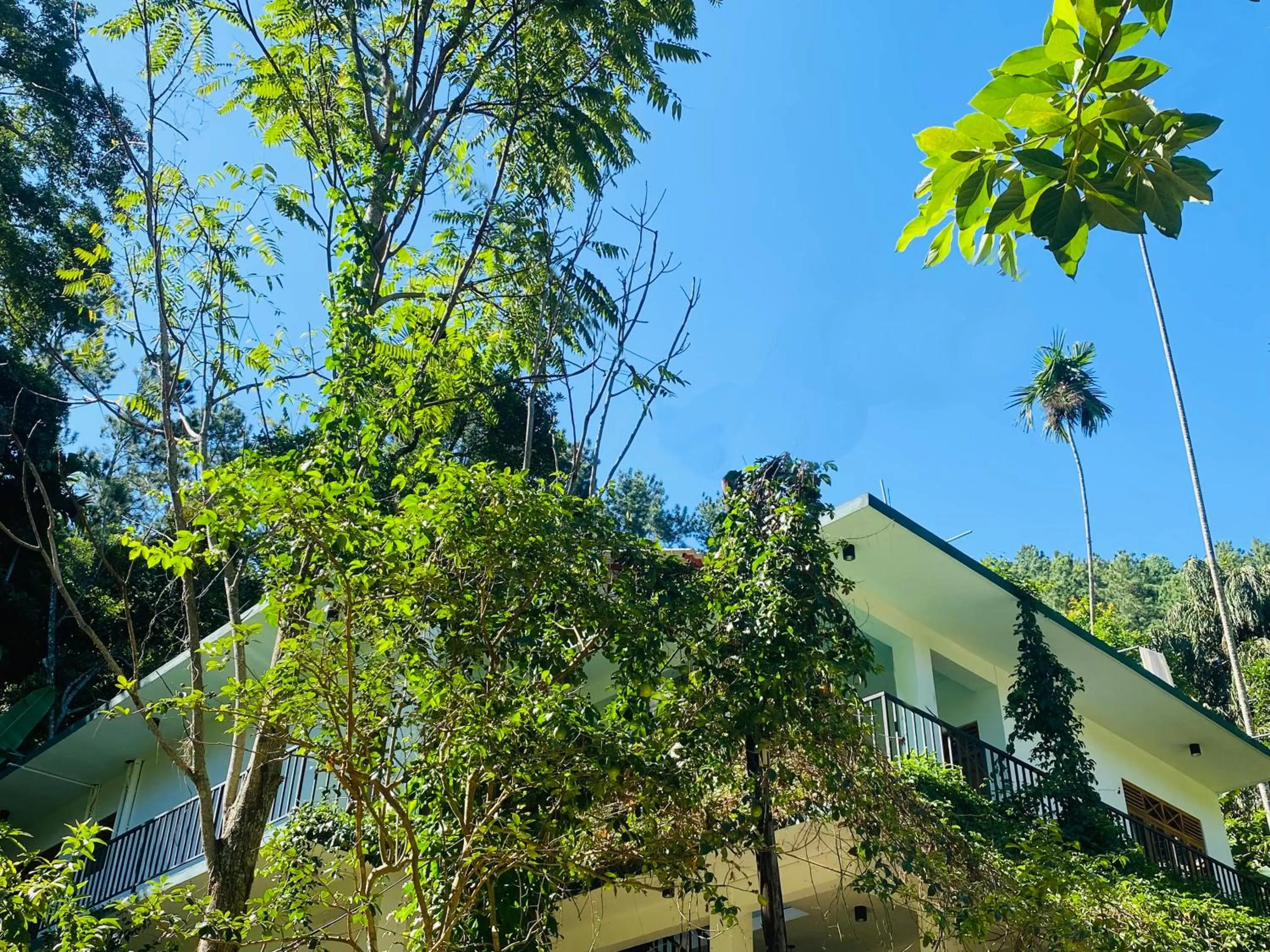 View (from property/room) in Misty Elegance - Ella.