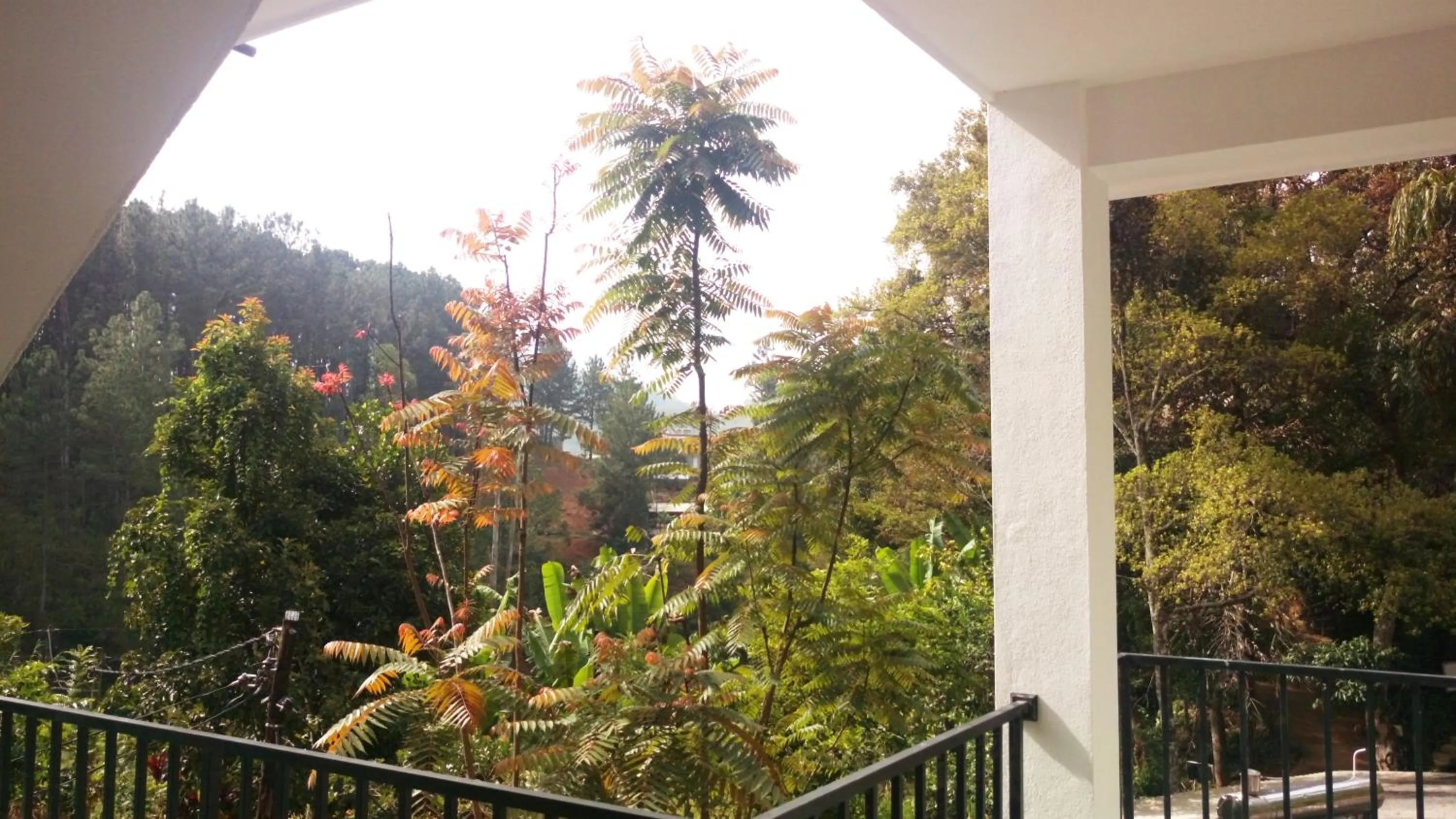 Garden view in Misty Elegance - Ella.