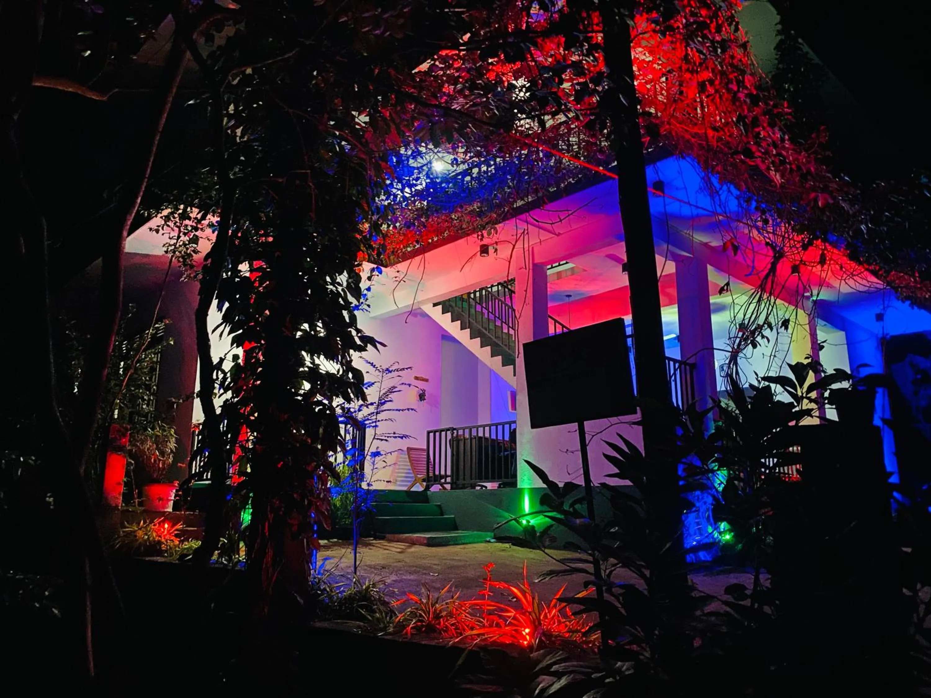 Night in Misty Elegance - Ella.