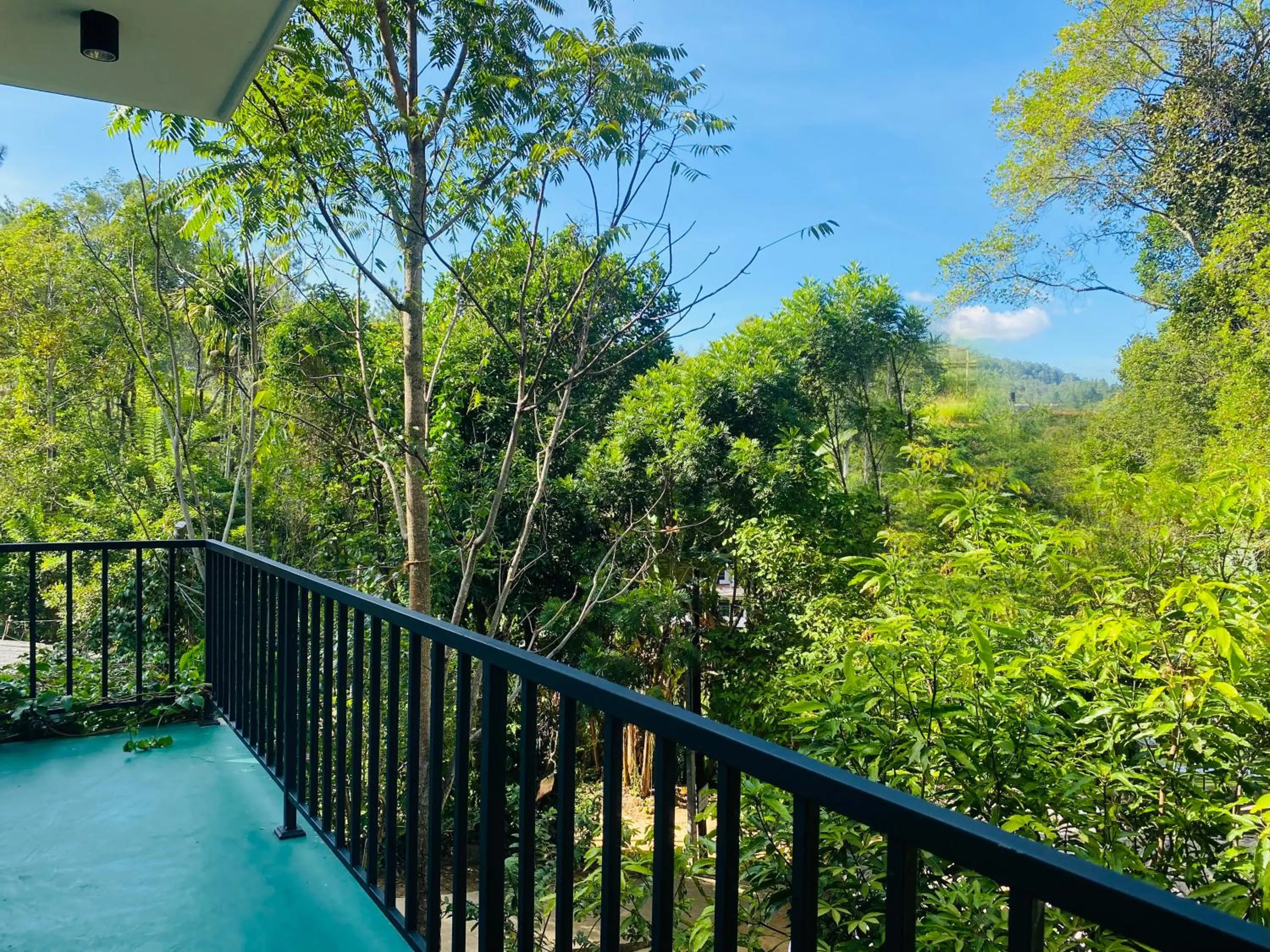 Garden view in Misty Elegance - Ella.