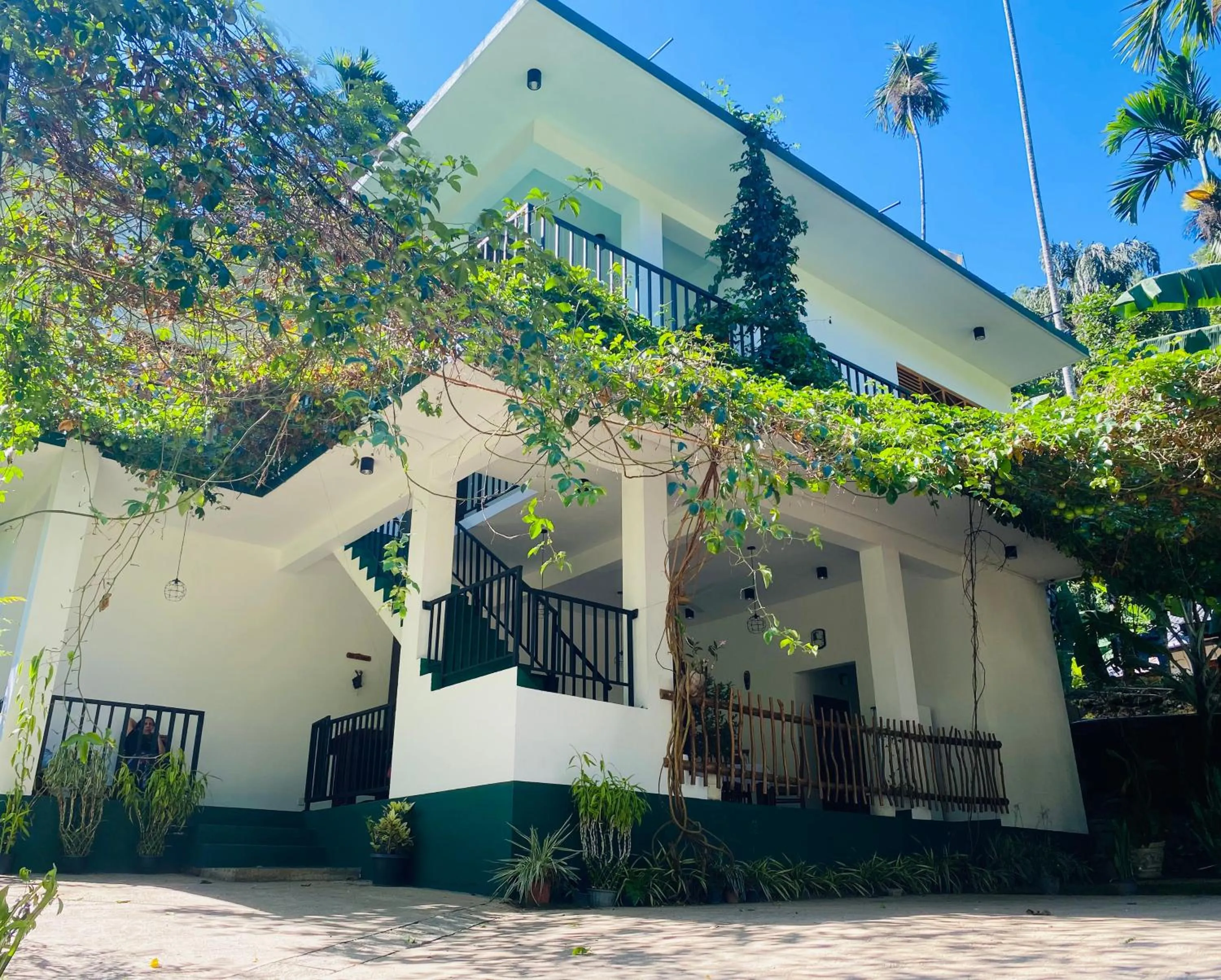 Property building in Misty Elegance - Ella.