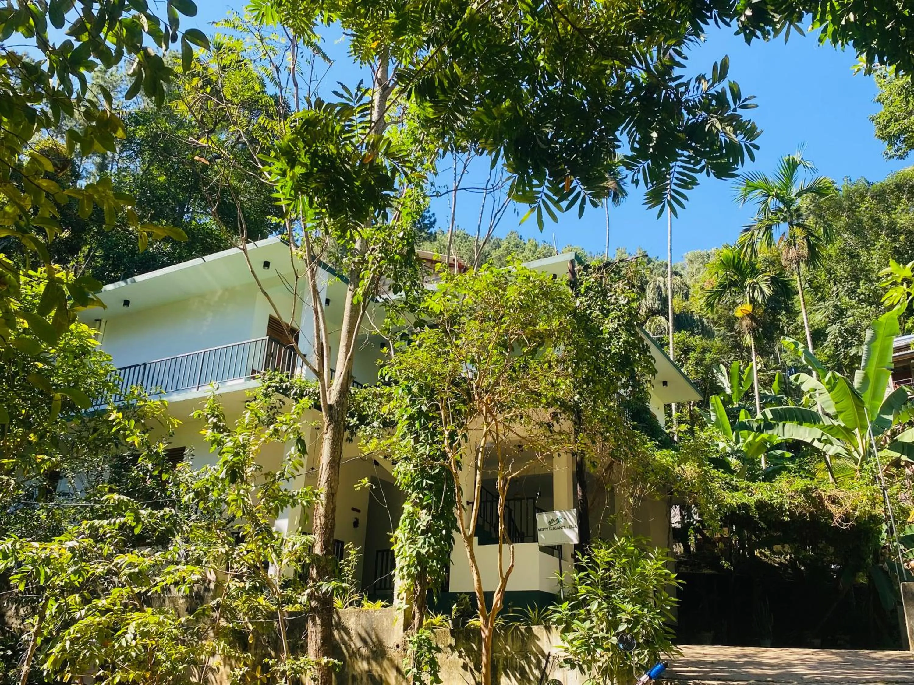 Day in Misty Elegance - Ella.