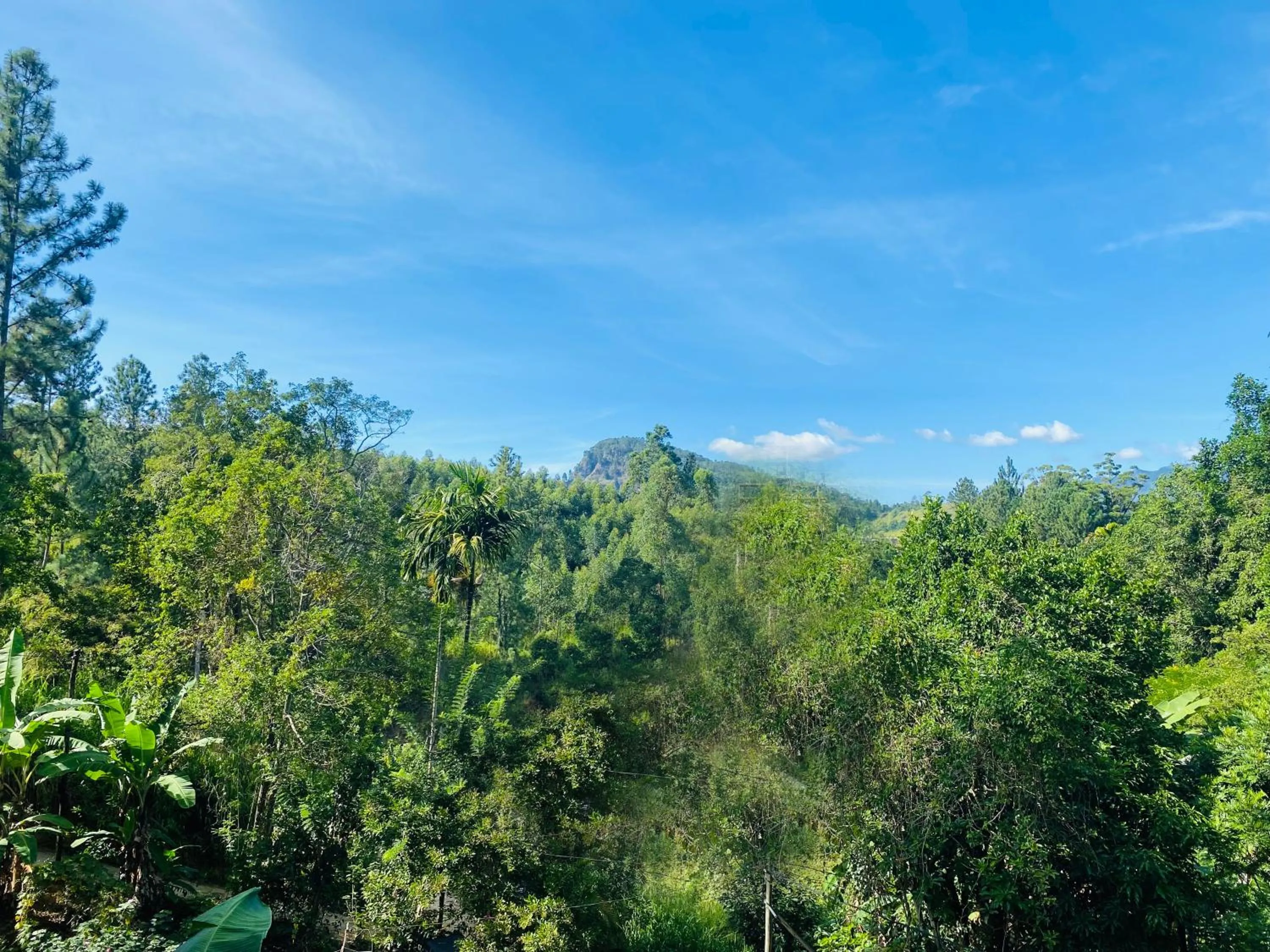 Mountain view in Misty Elegance - Ella.