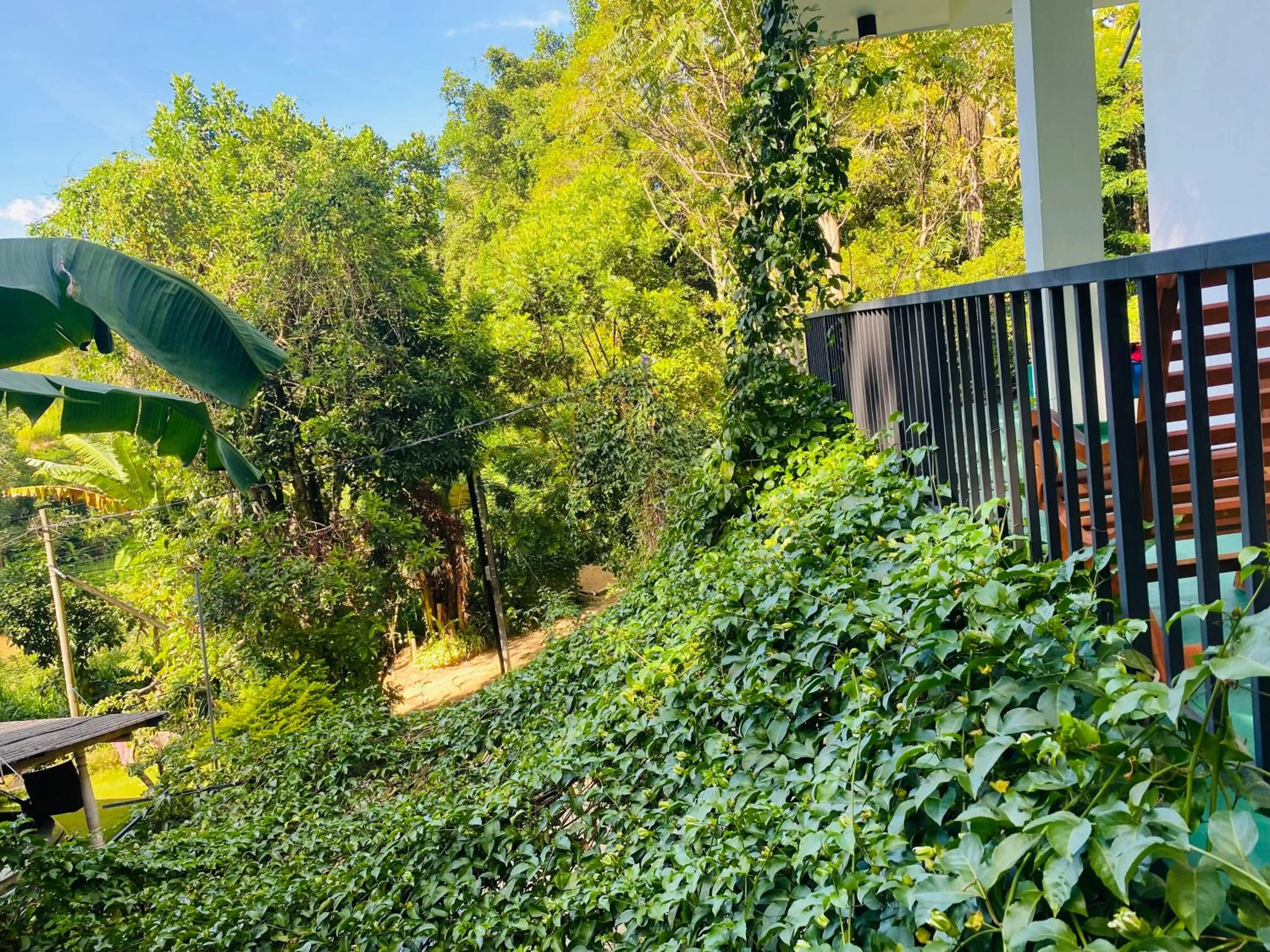 Balcony/Terrace in Misty Elegance - Ella.