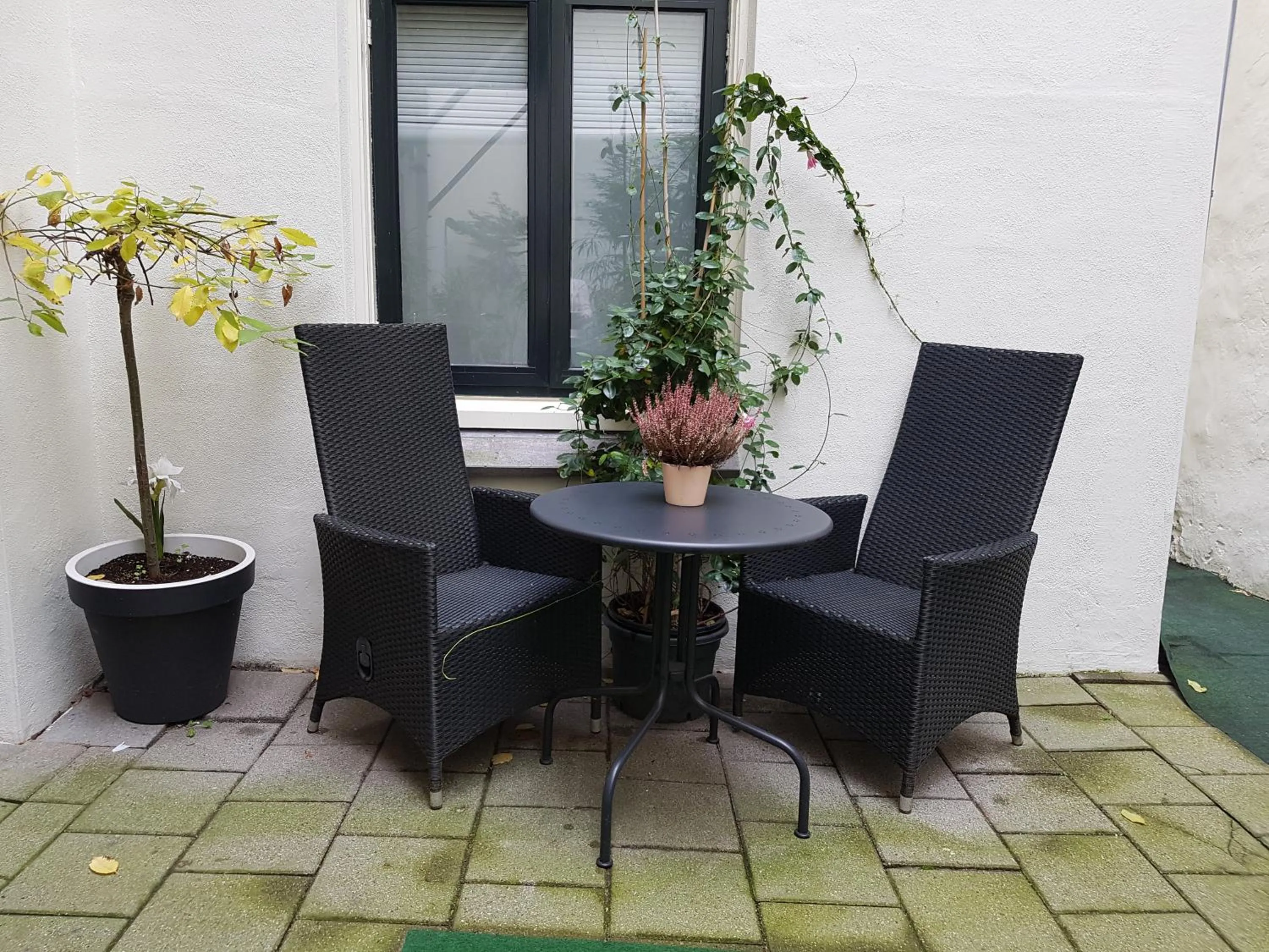 Patio in B&B Wladimir Studios