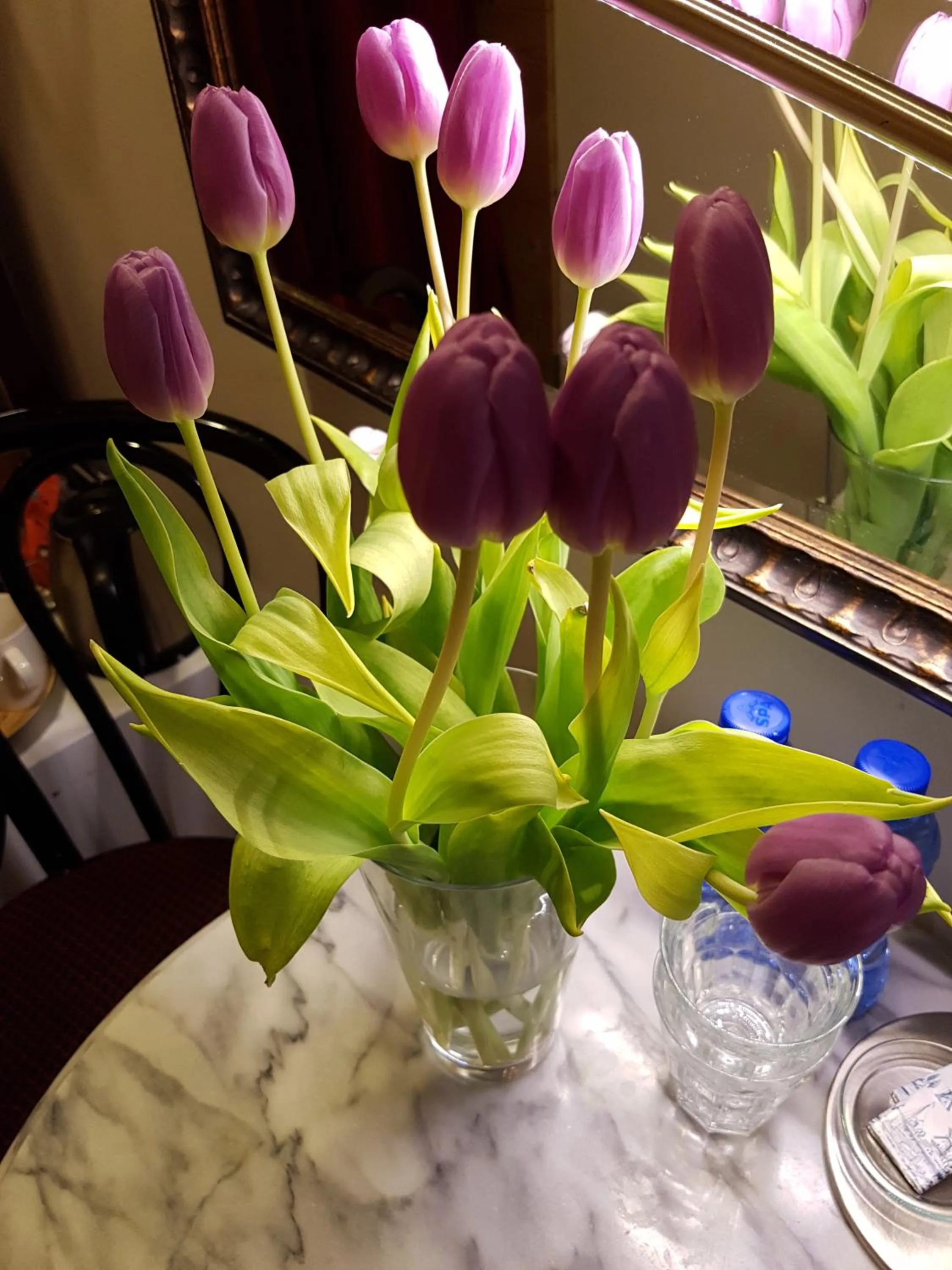 Decorative detail in B&B Wladimir Studios