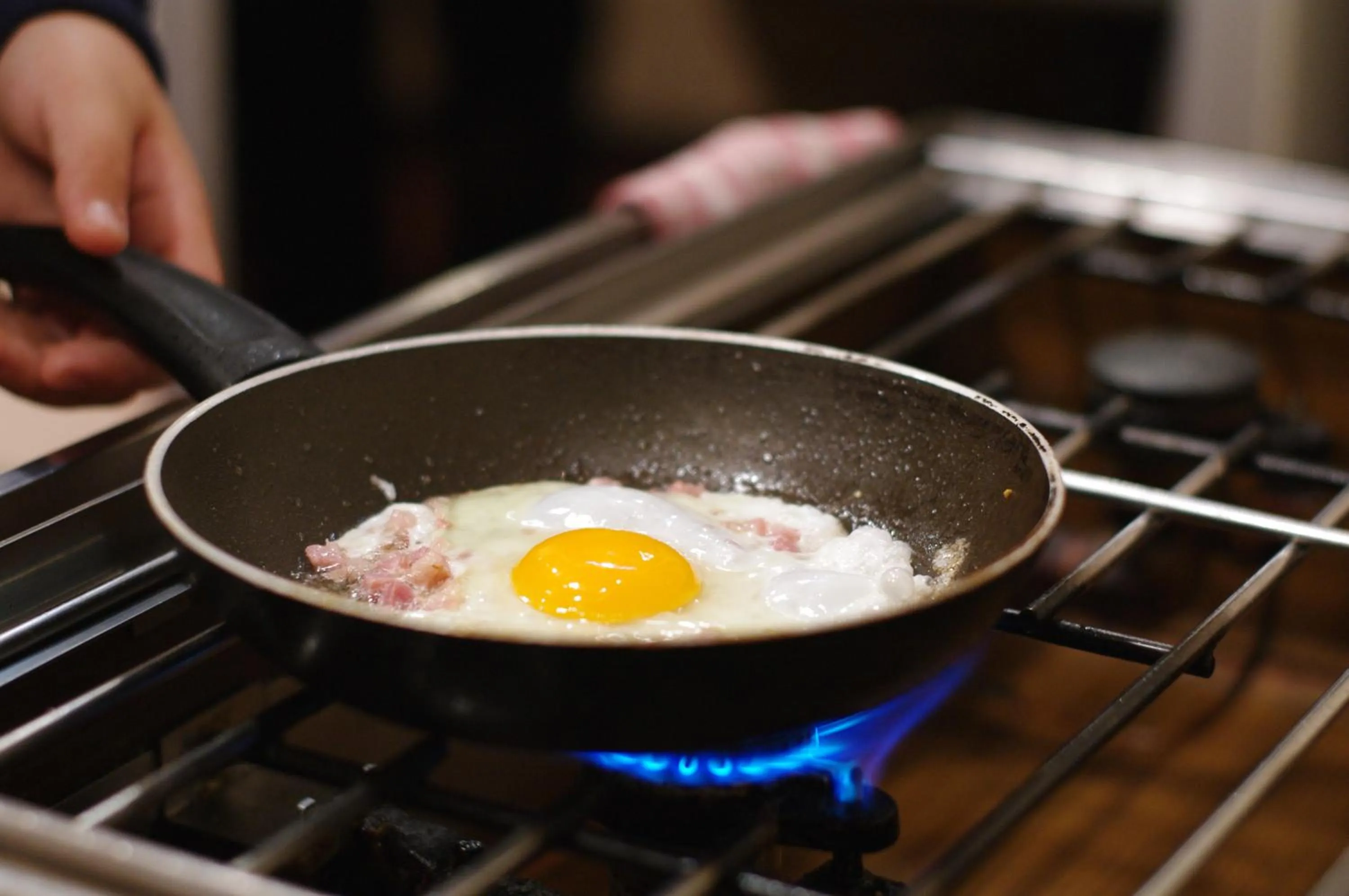 Food and drinks in Boutique Hotel & Bio Wirtshaus Schwarzer Bock