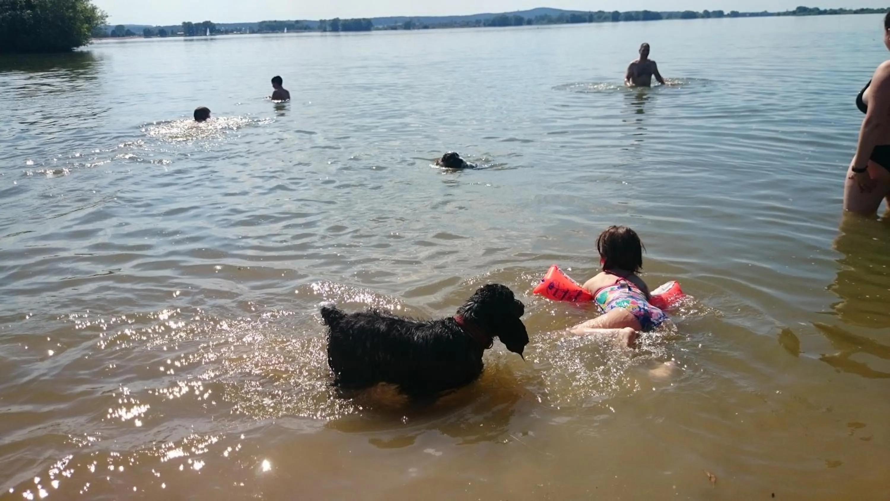 Natural landscape in Boutique Hotel & Bio Wirtshaus Schwarzer Bock