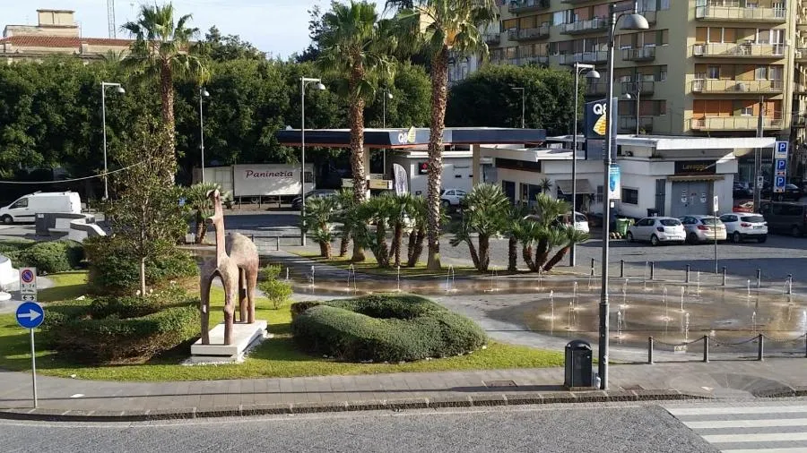 Property building in Gymnasium