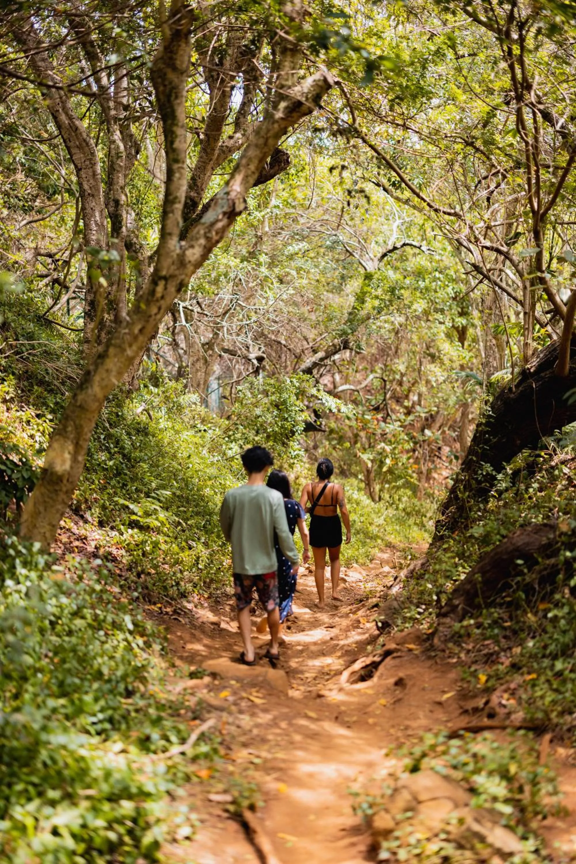 Hiking in The Cliffs at Princeville