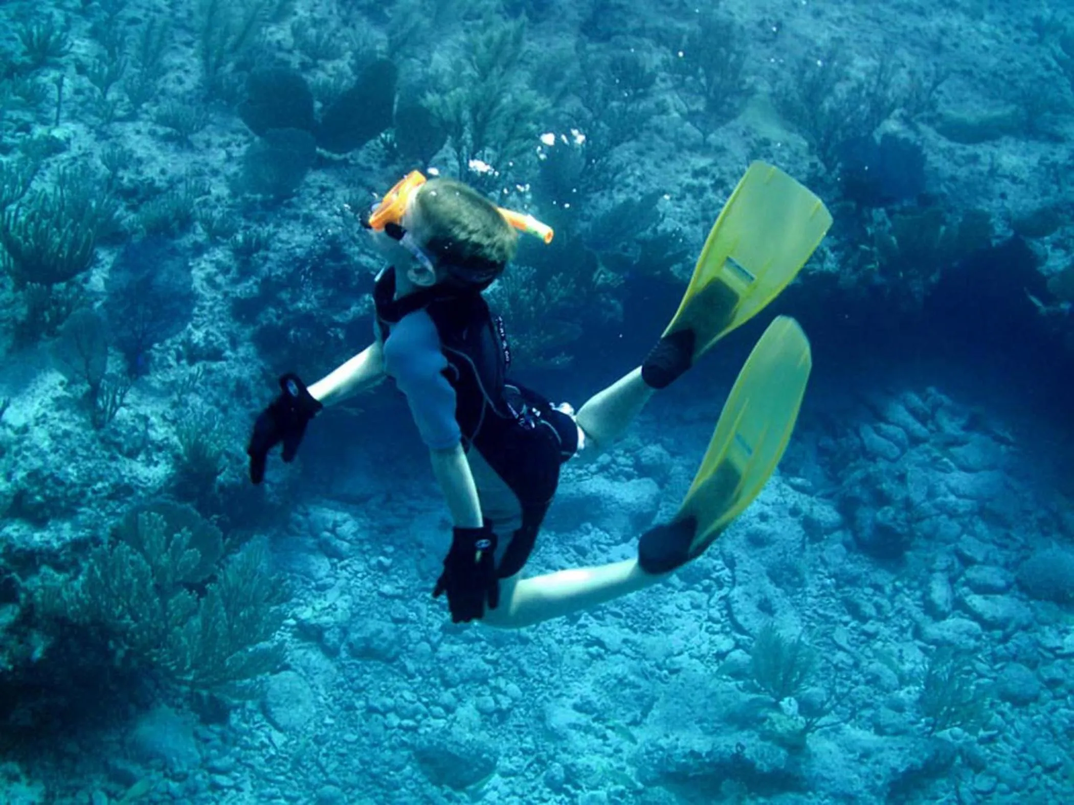 Snorkeling in Paradise Bay Bahamas