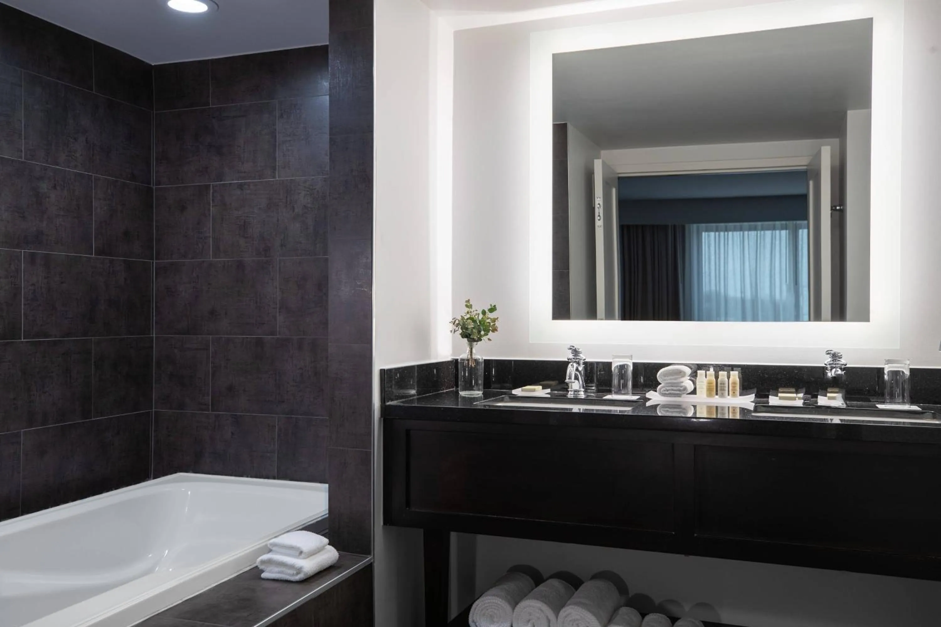 Bathroom in The Baronette Renaissance Detroit-Novi Hotel