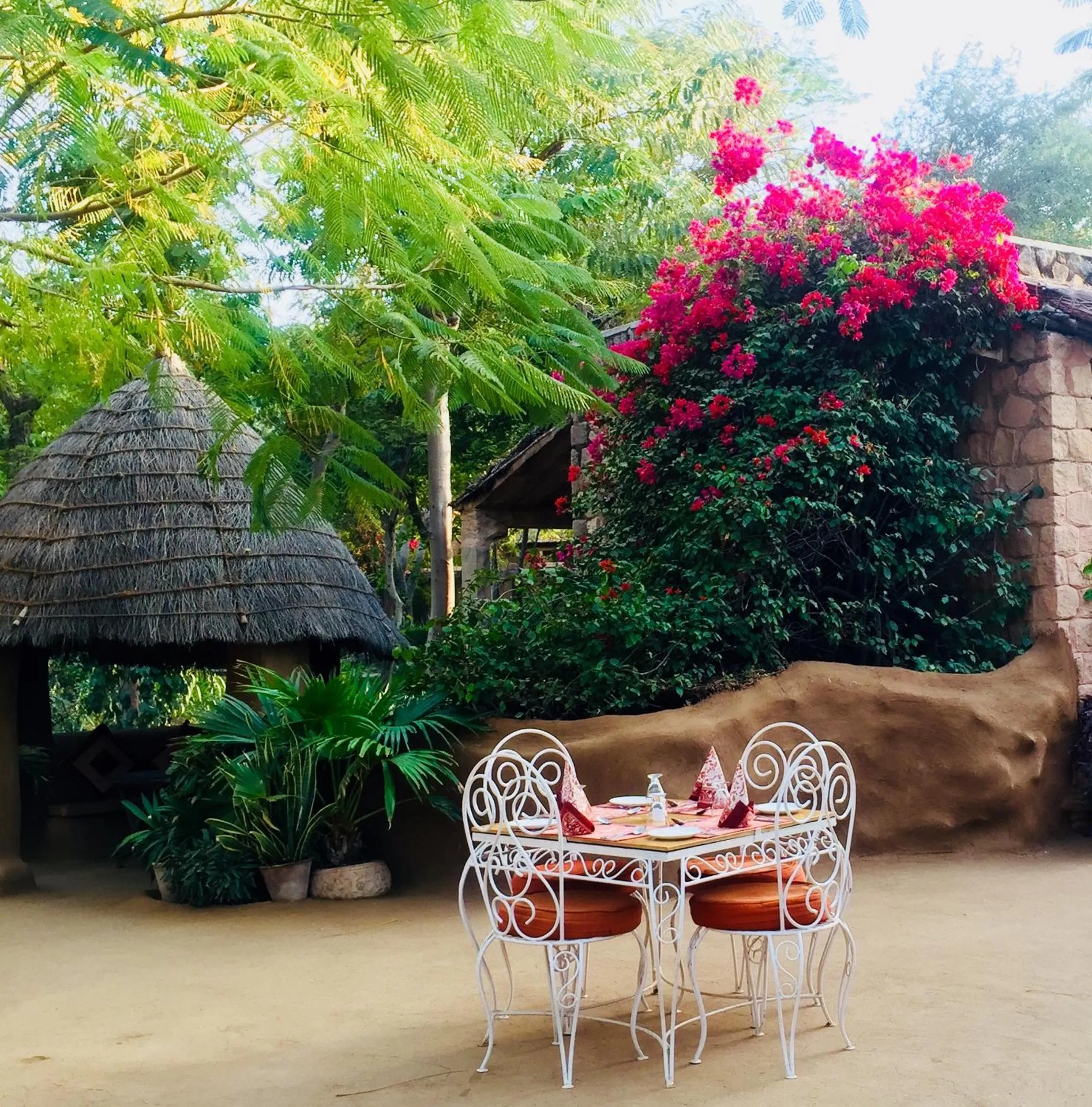 Restaurant/places to eat in MANVĀR Resort & Desert Camp