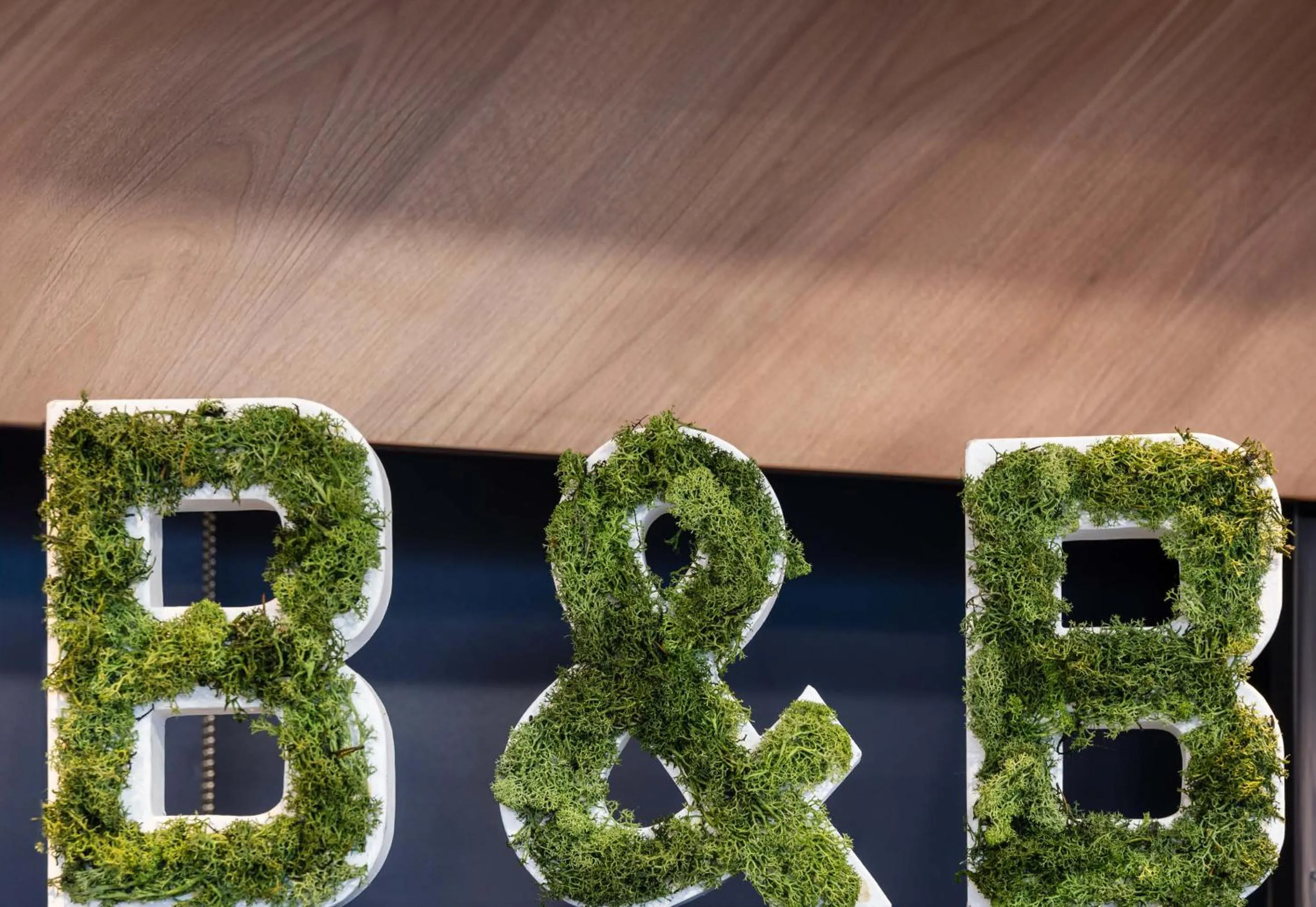 Decorative detail in B&B HOTEL Lille Grand Stade