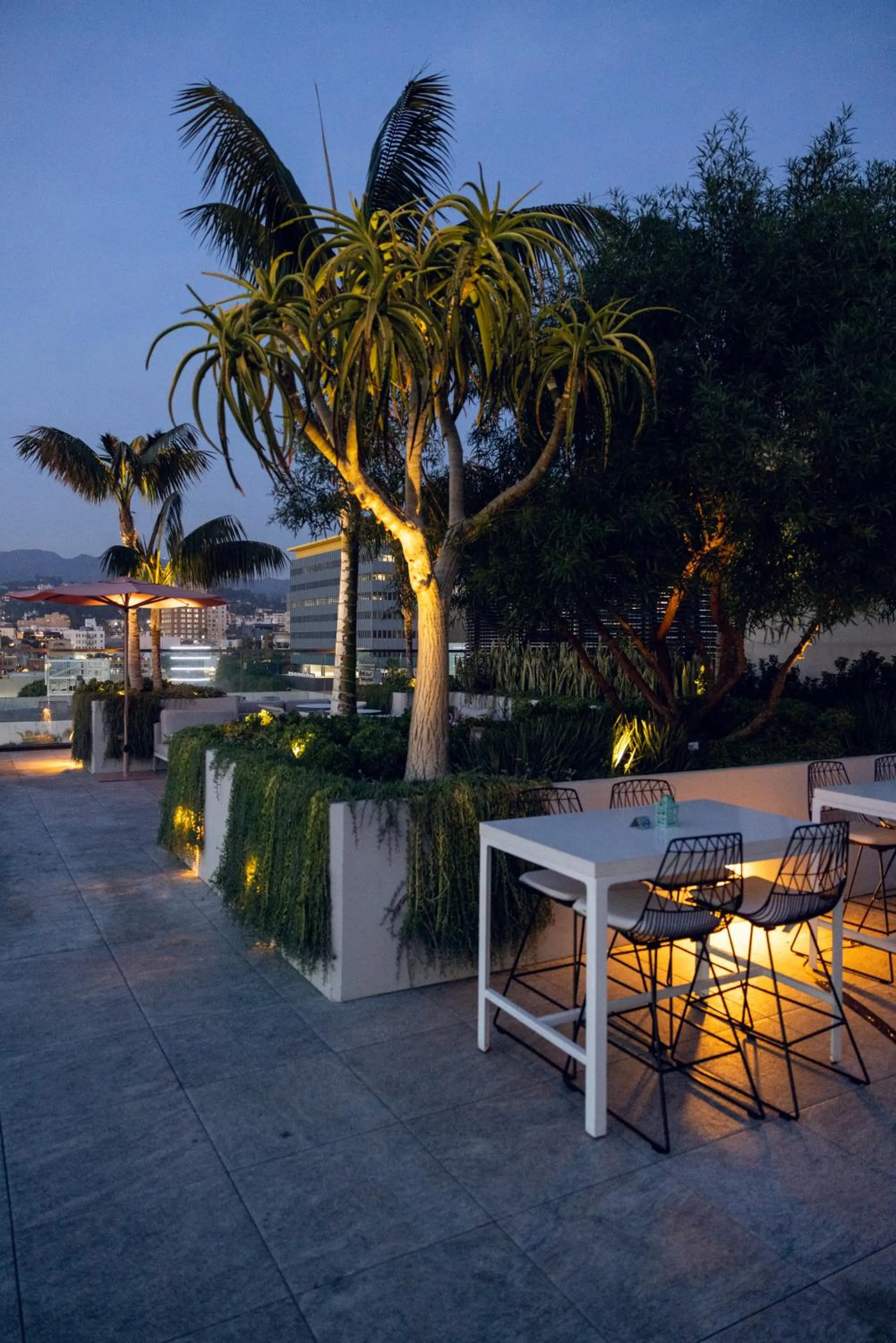 Night in The Godfrey Hotel Hollywood