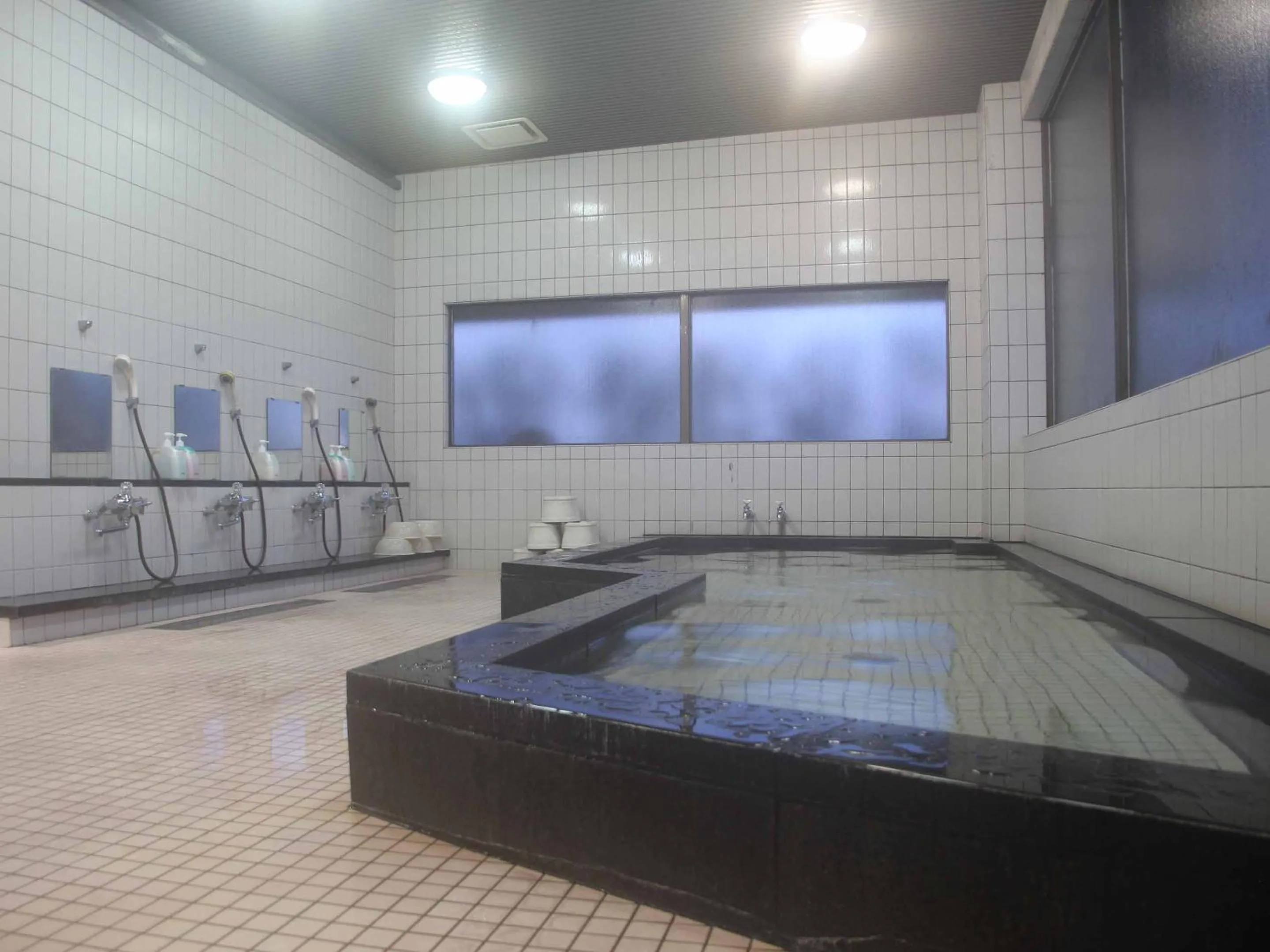 Public Bath in Hotel ab Shiga