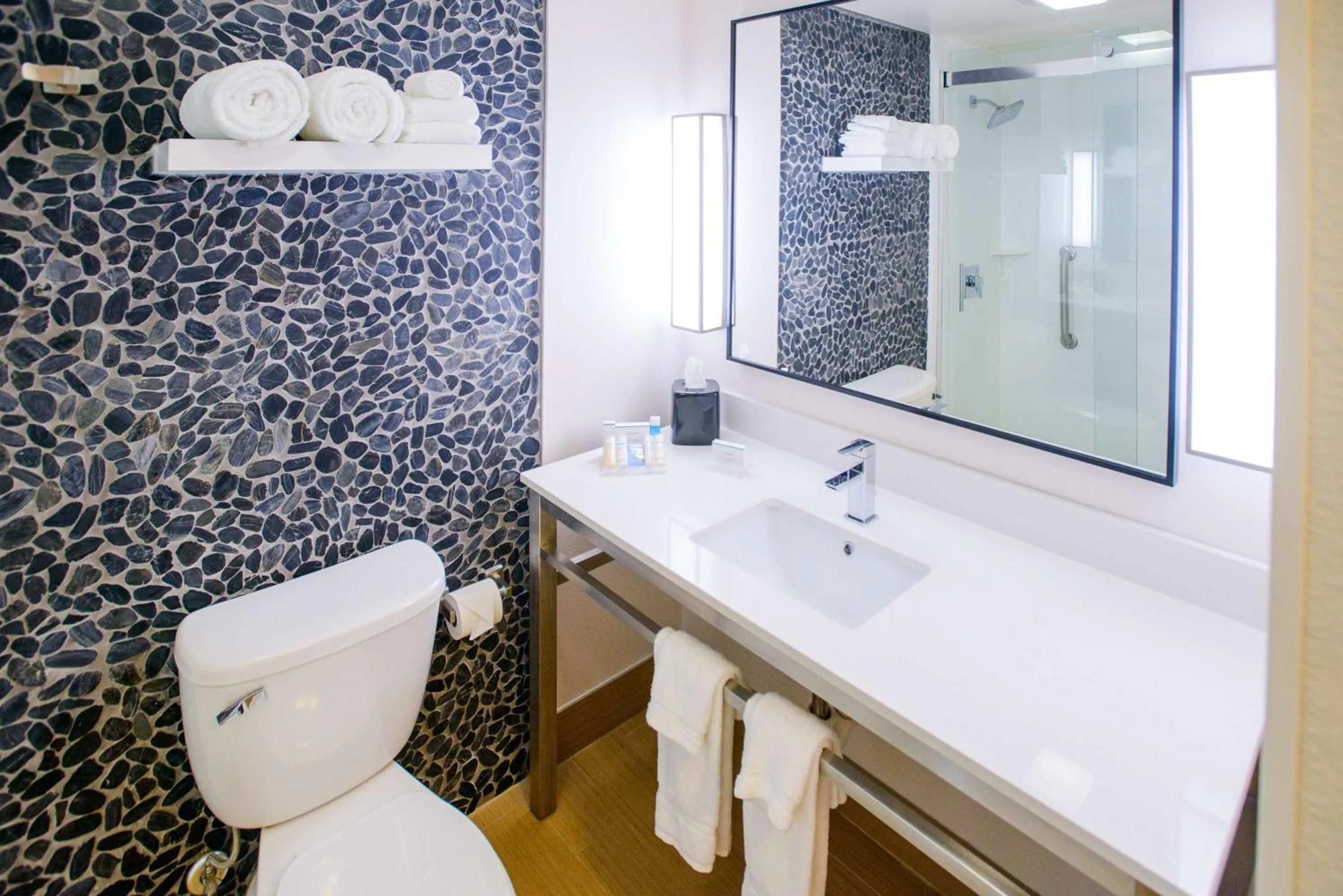 Bathroom in Hilton Garden Inn Rochester Downtown