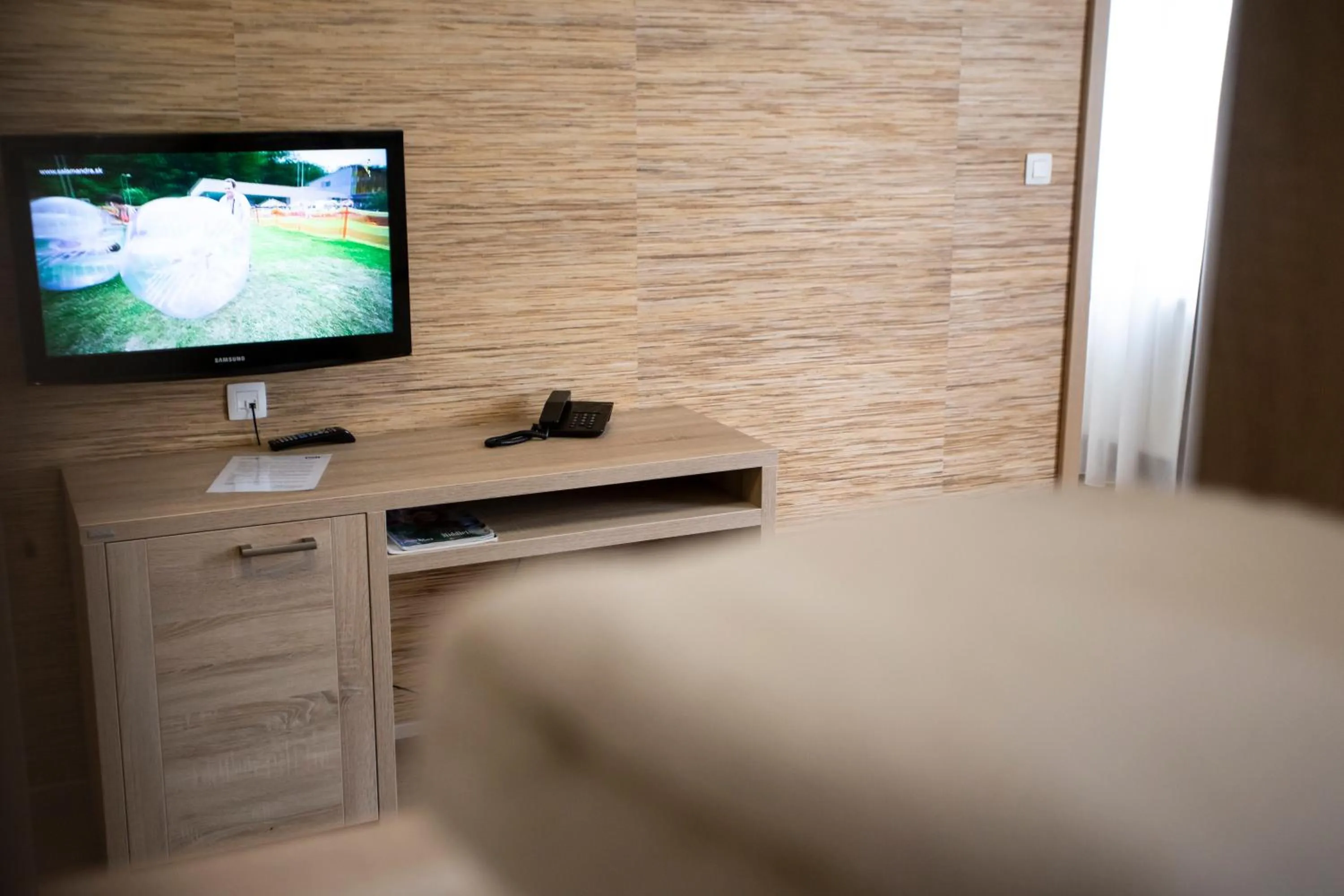 TV and multimedia in SALAMANDRA Hotel