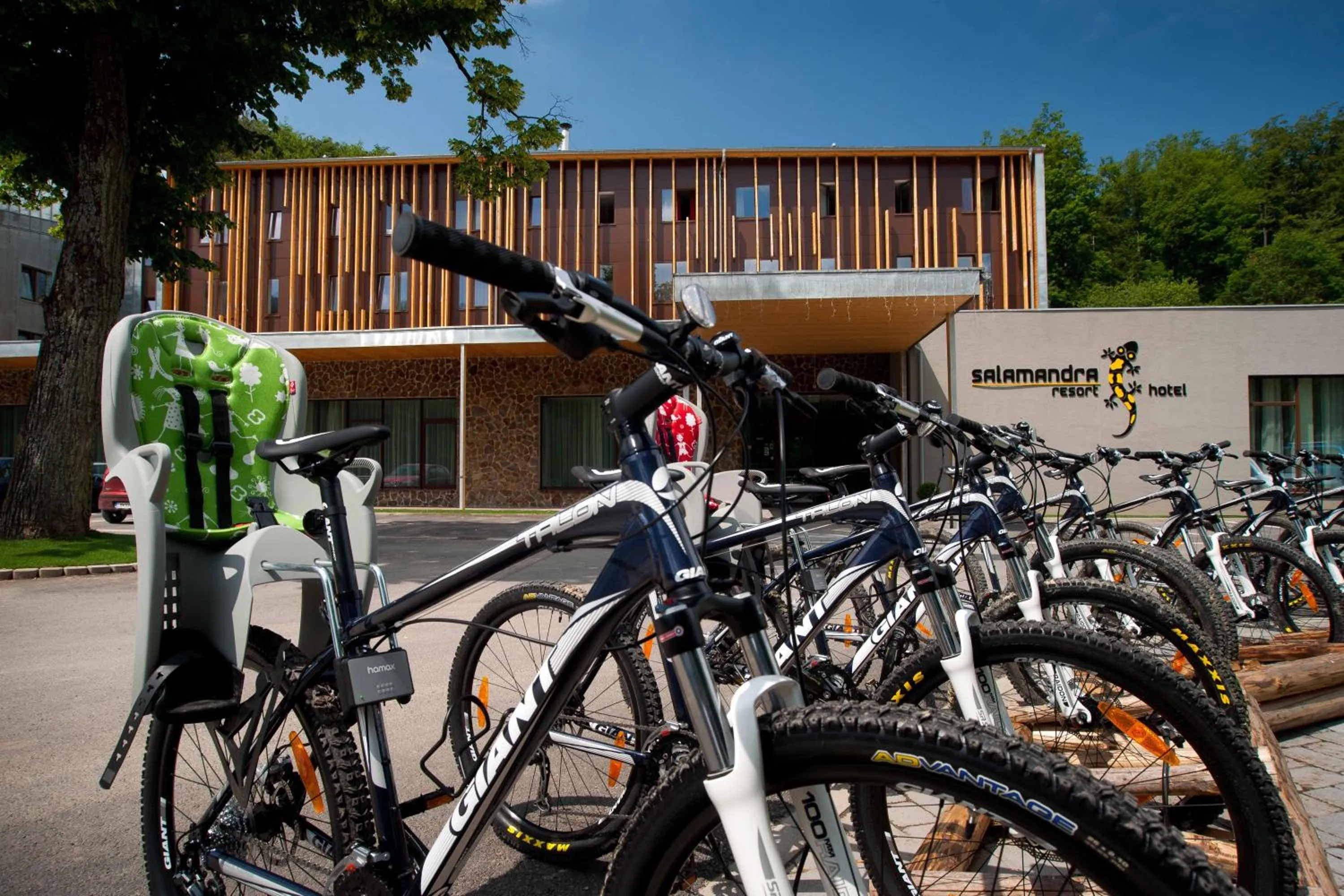 Activities in SALAMANDRA Hotel