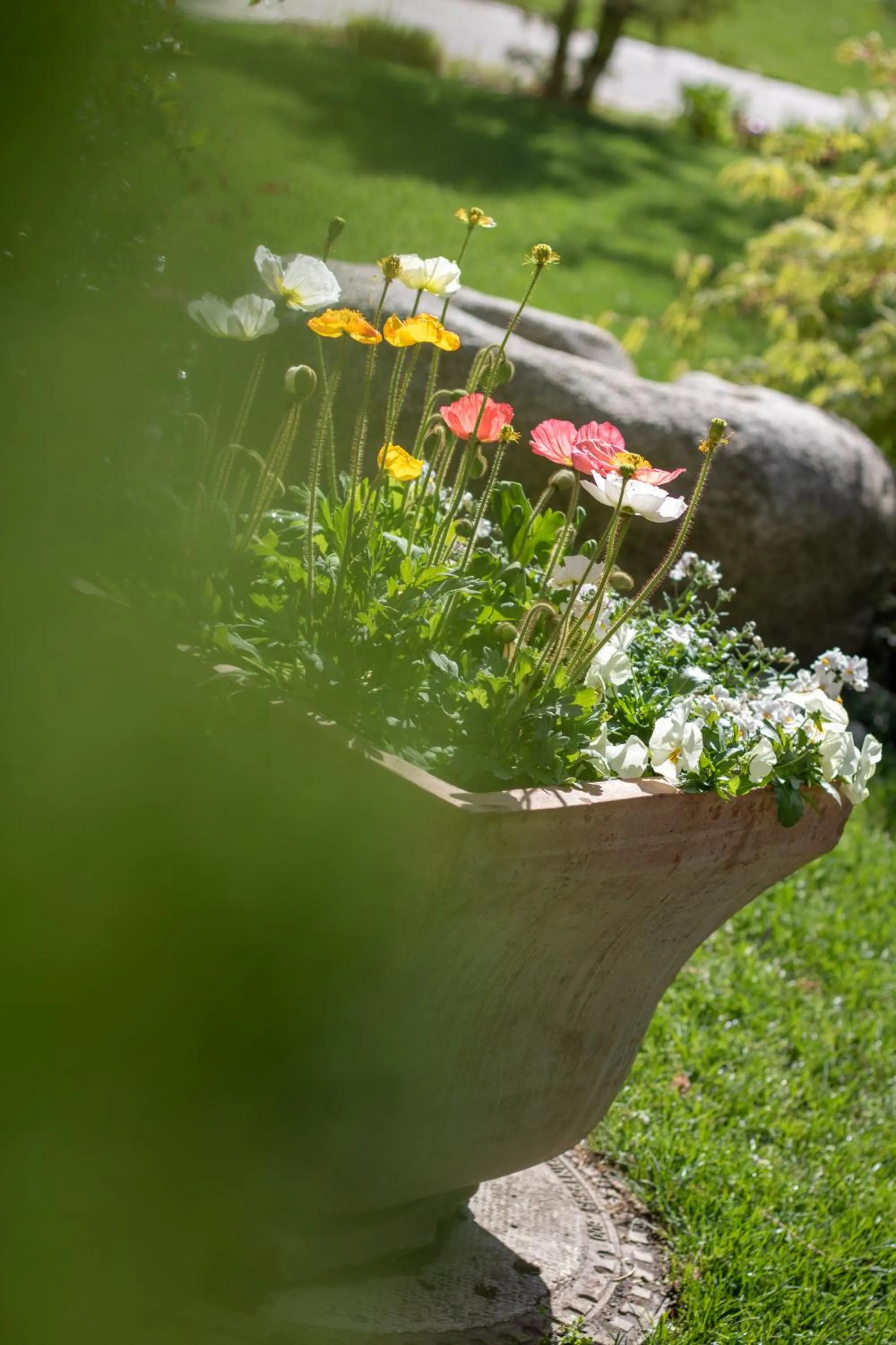Garden in Hotel Sonnenhof