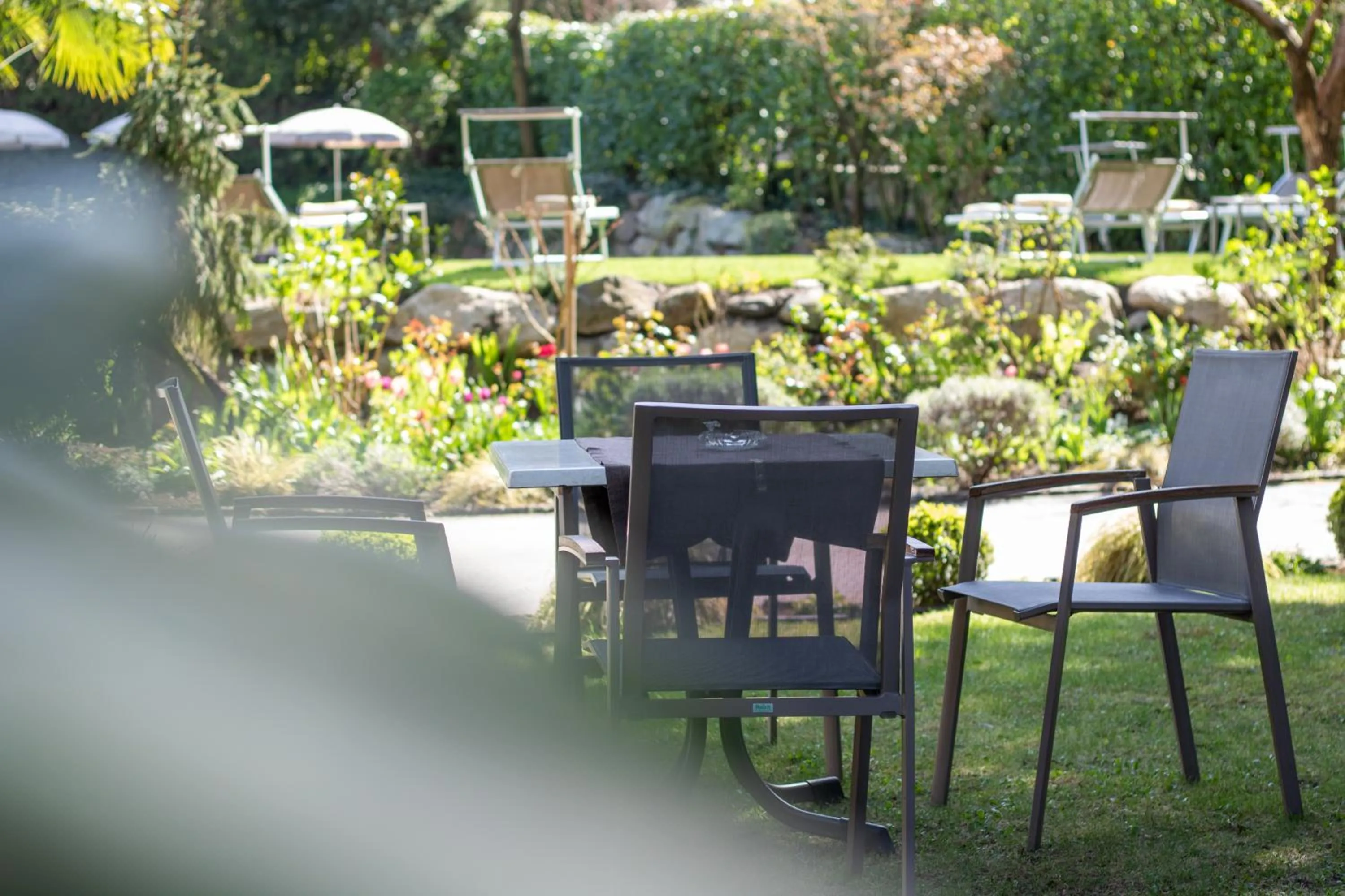 Garden in Hotel Sonnenhof