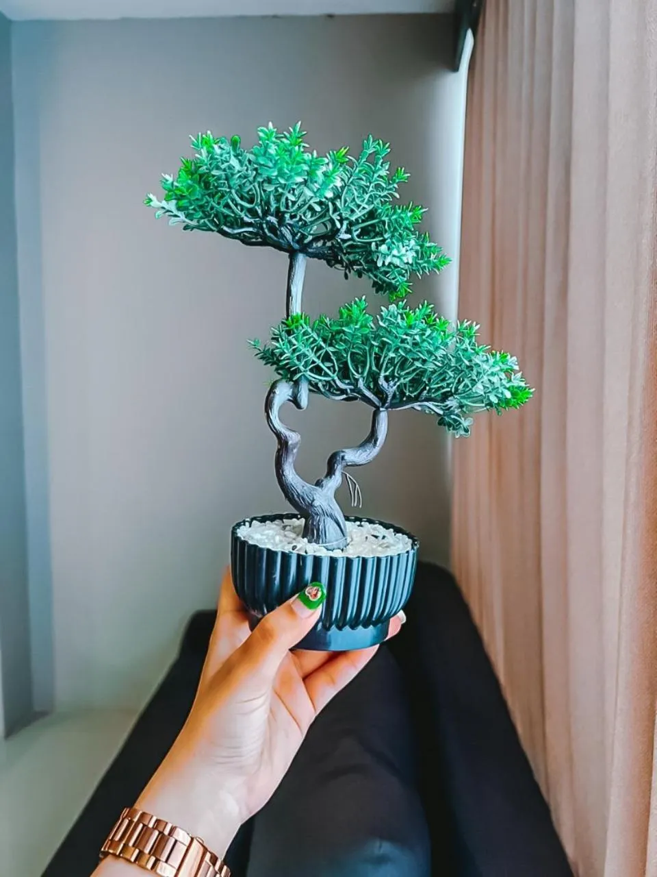 The Harbour Front Hotel