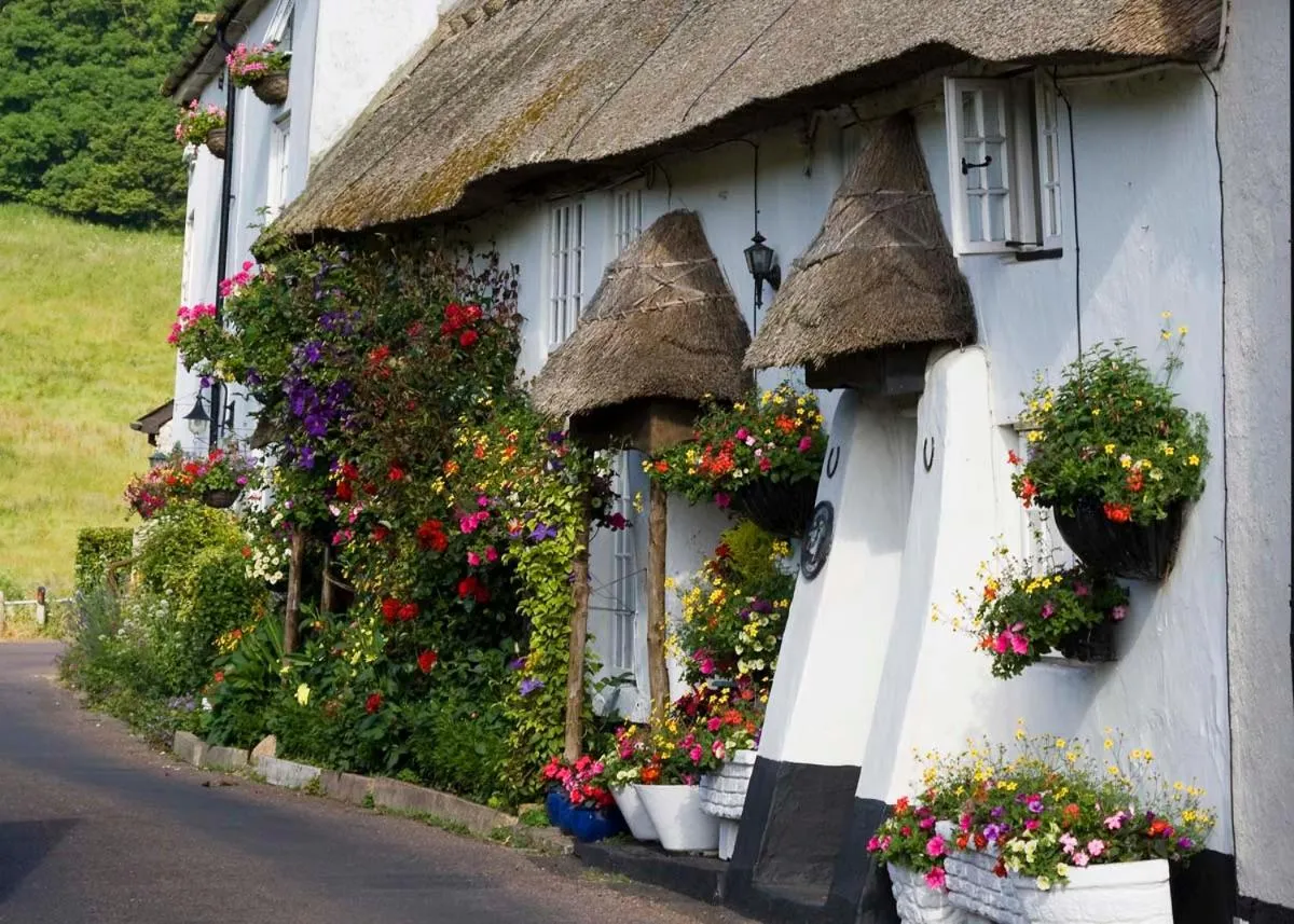 Belmont House Beer - Adults Only - Free Parking