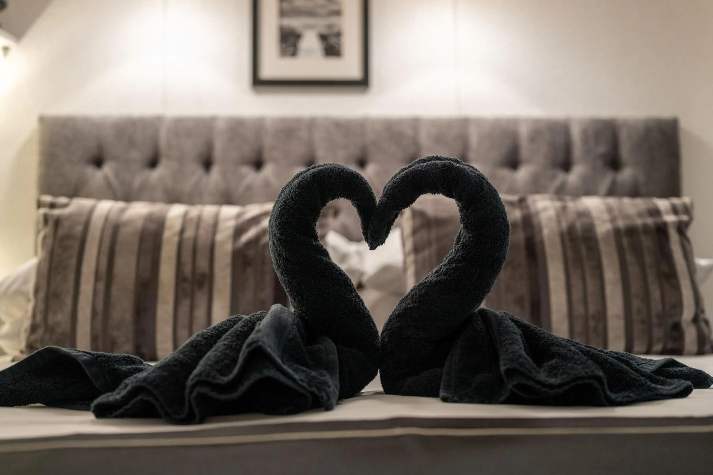 Bed in Belmont House Beer - Adults Only - Free Parking