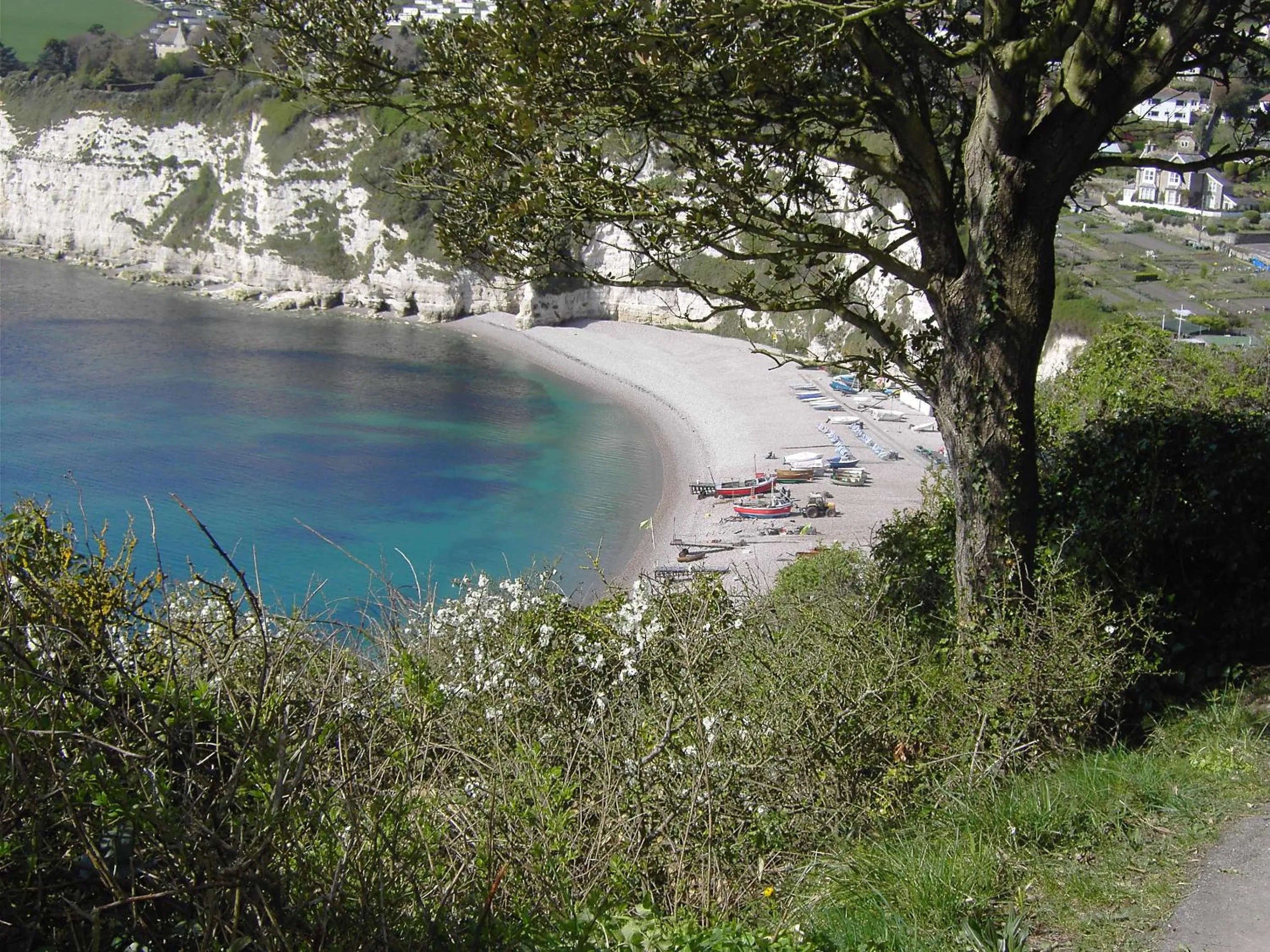 Belmont House Beer - Adults Only - Free Parking