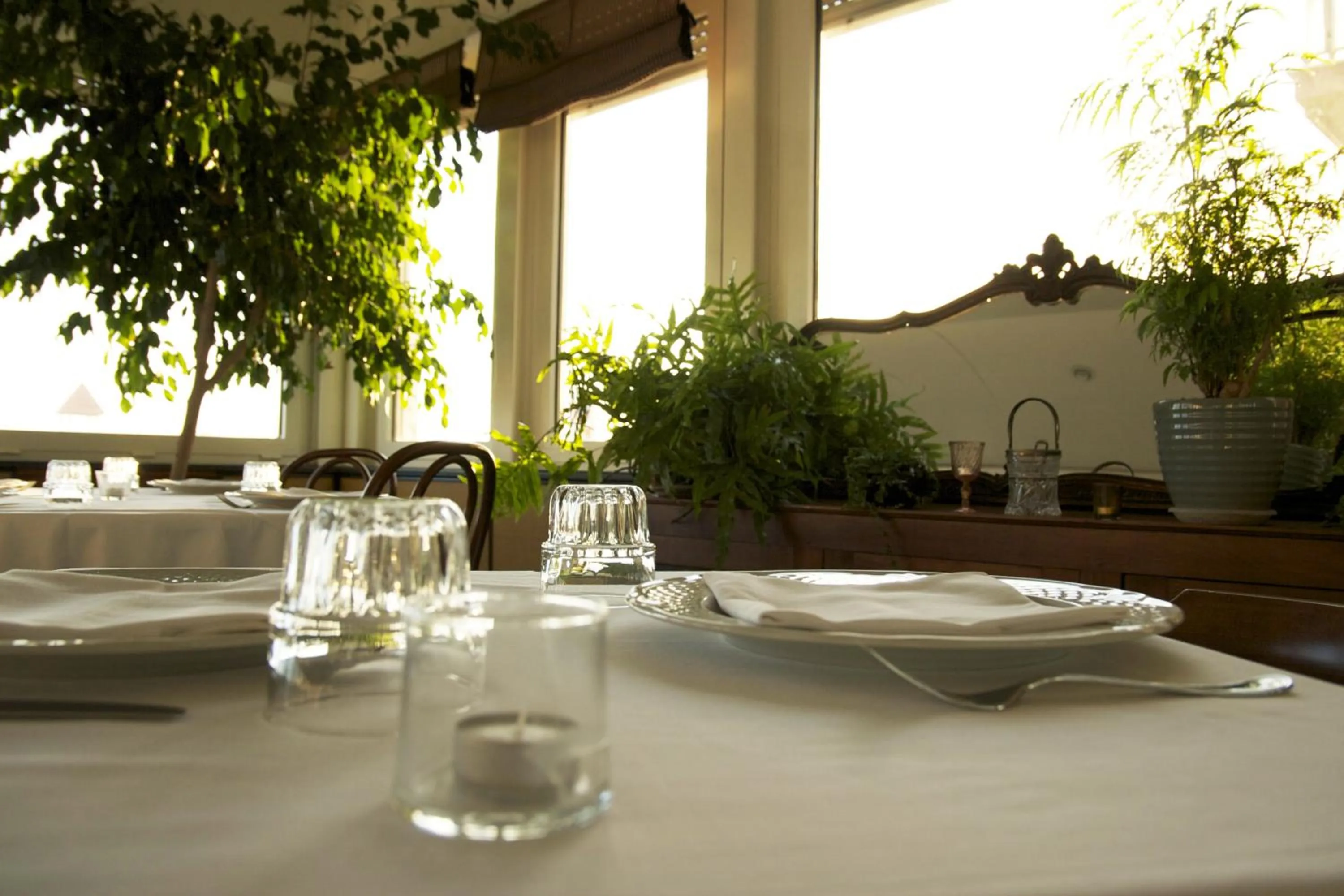 Restaurant/places to eat in Hotel Sirenetta