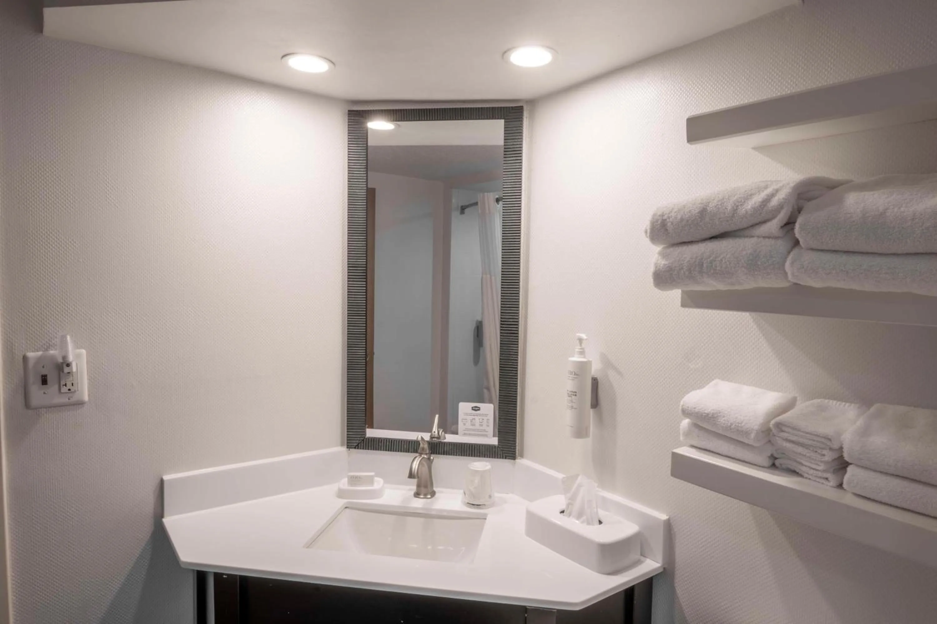 Bathroom in Hampton Inn St Augustine US1 North