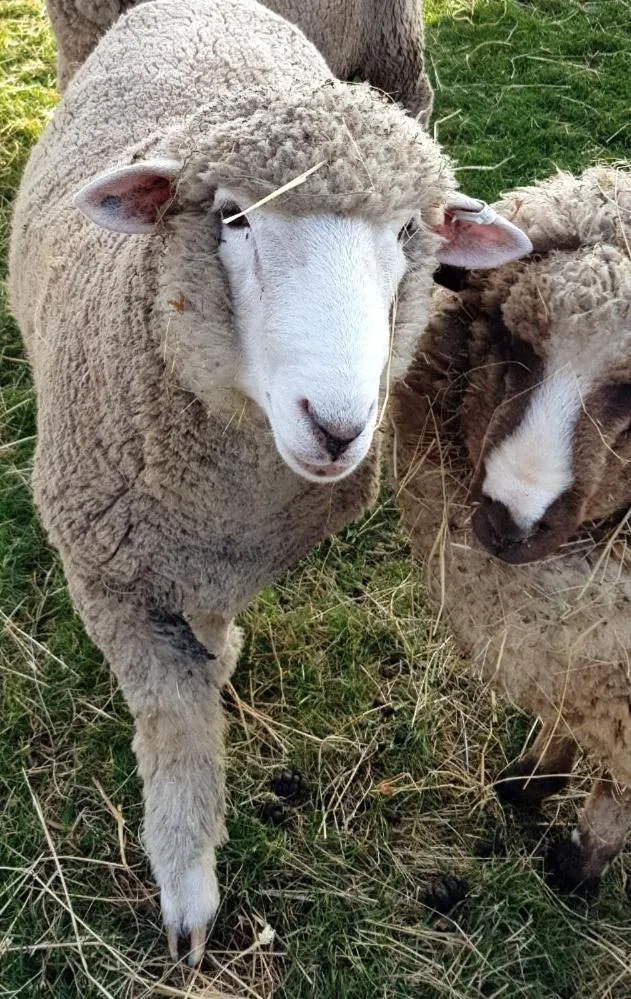 Natural landscape in Rooks Edge