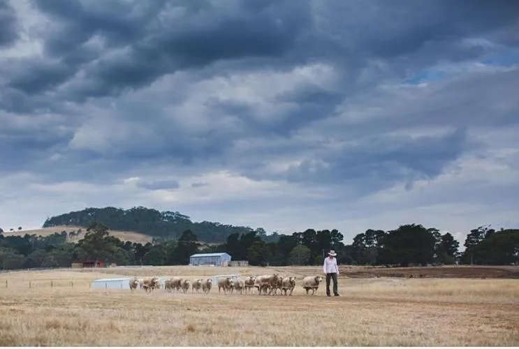 View (from property/room) in Rooks Edge