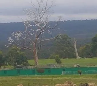 Mountain view in Rooks Edge