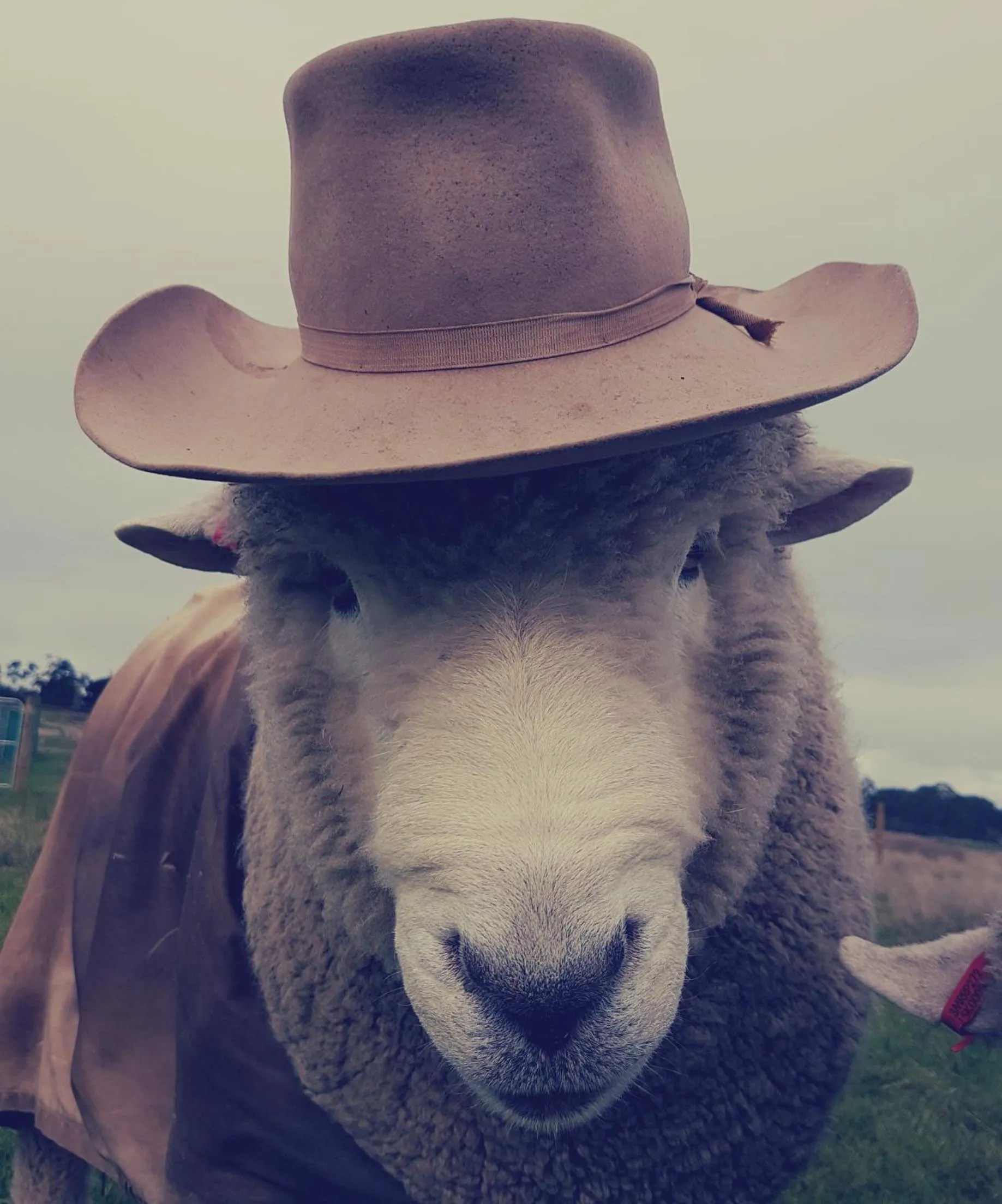 View (from property/room) in Rooks Edge