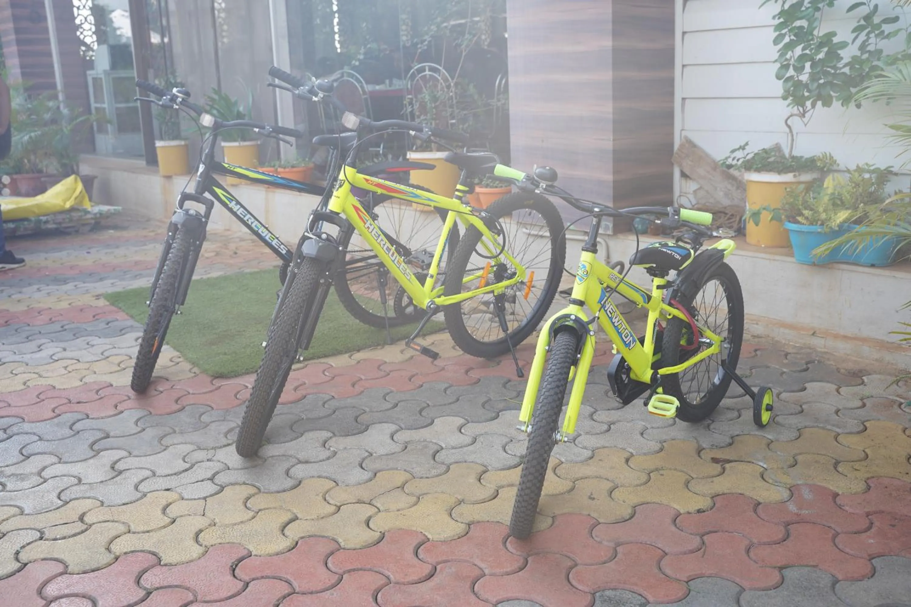 Activities in Relax Adventure Resort