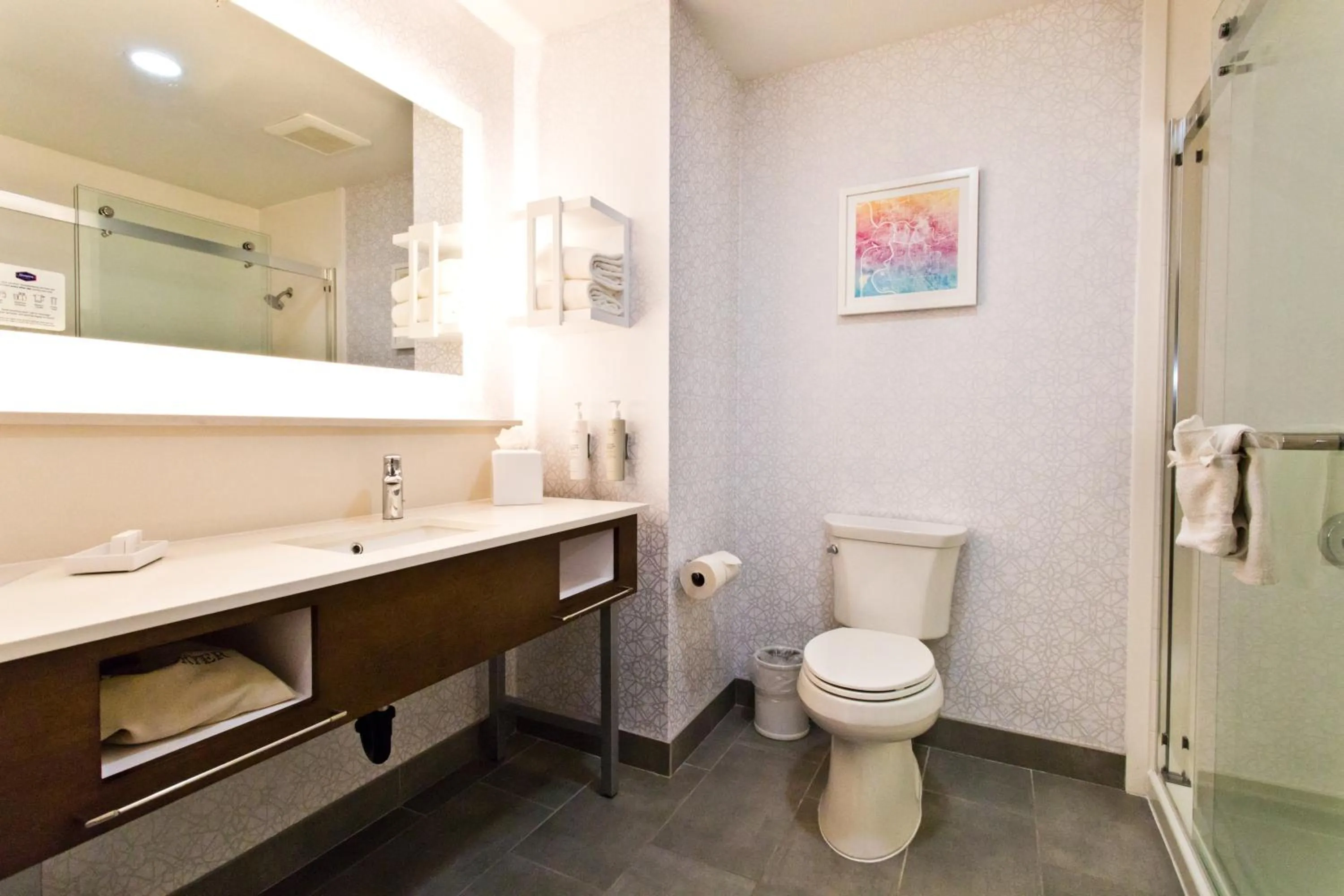 Bathroom in Hampton Inn & Suites Sacramento-Auburn Boulevard