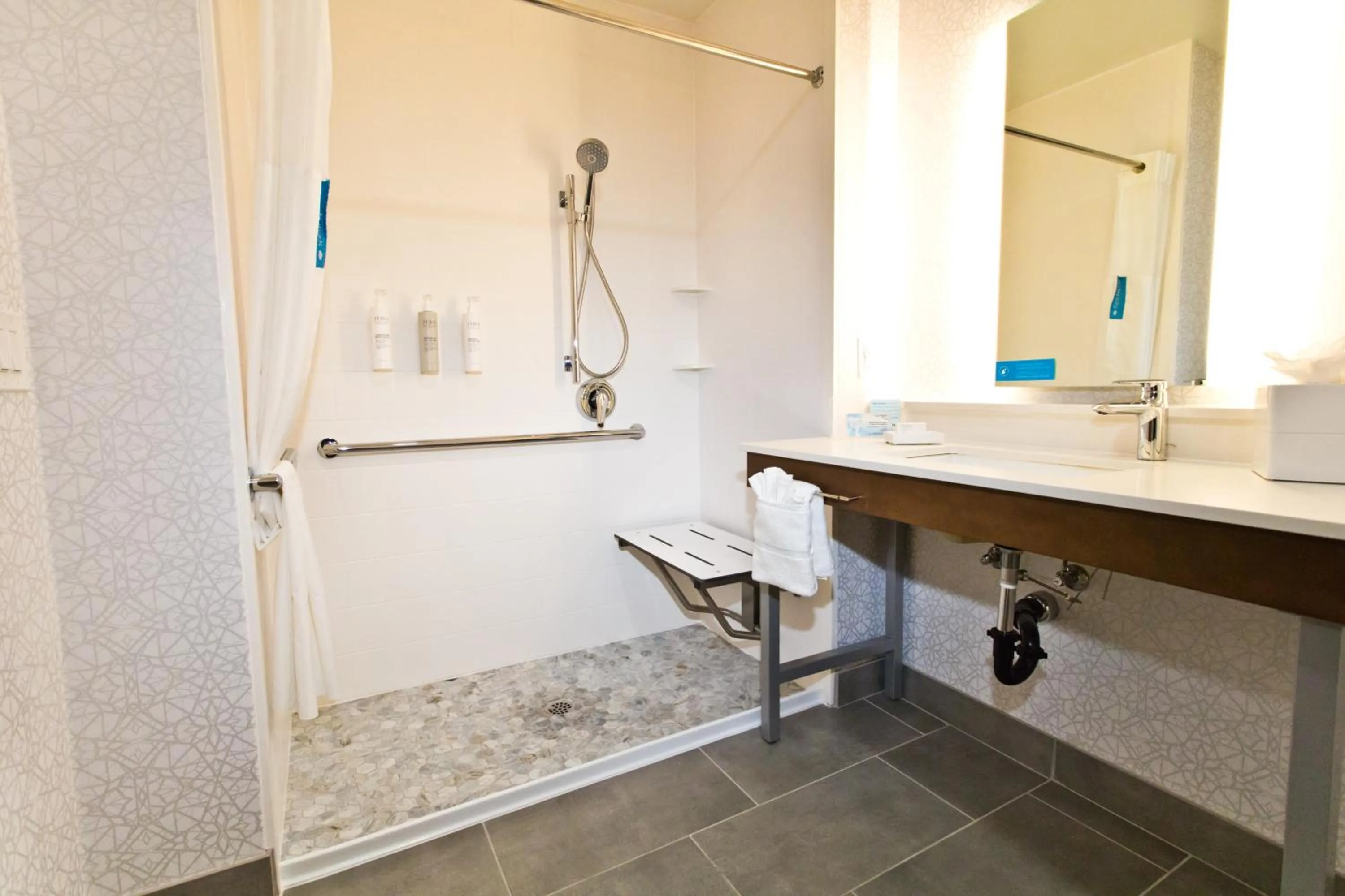 Shower in Hampton Inn & Suites Sacramento-Auburn Boulevard