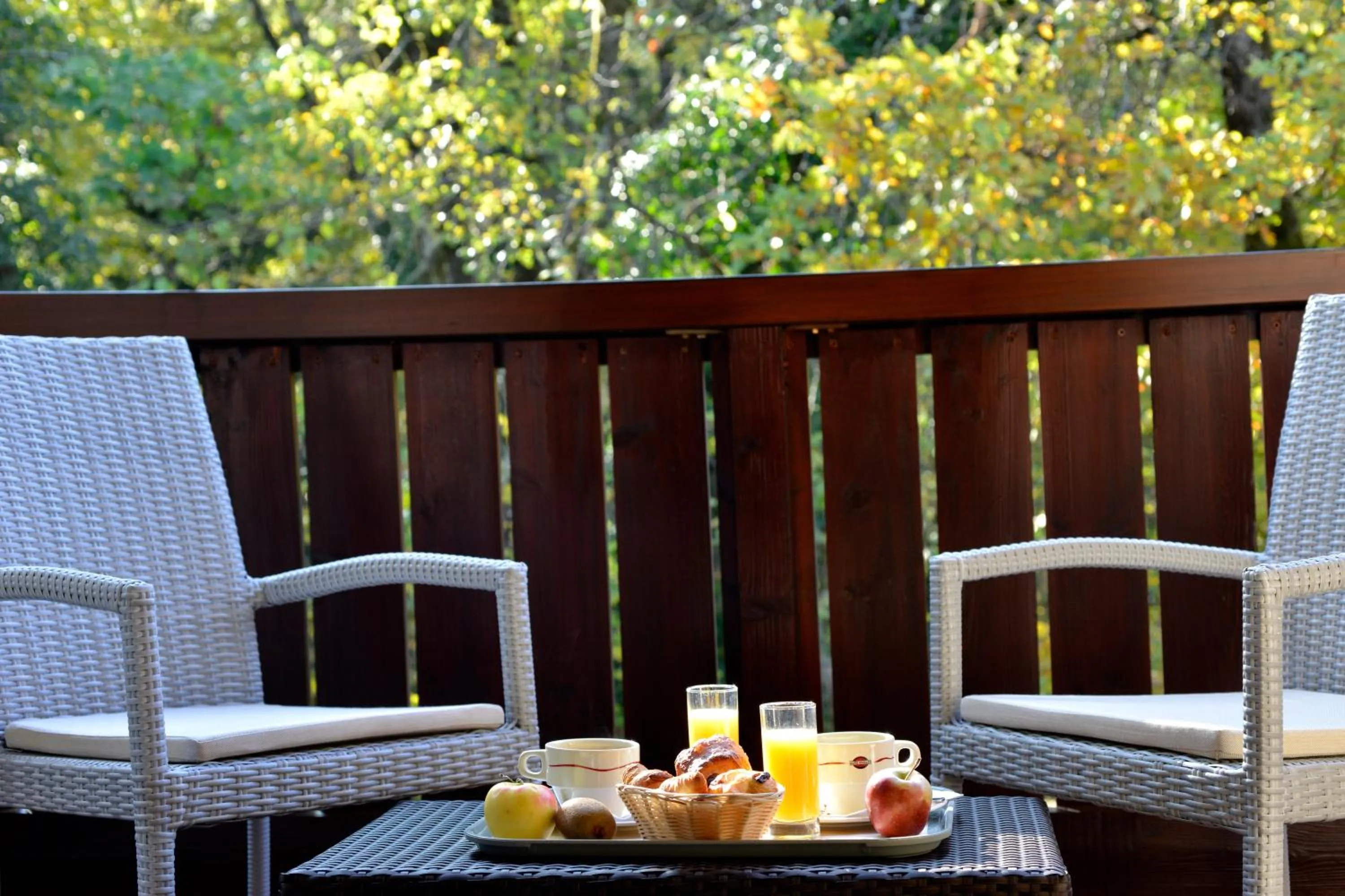 Balcony/Terrace in Le Bois Dormant-Hôtel Restaurant & Spa Logis Hôtel
