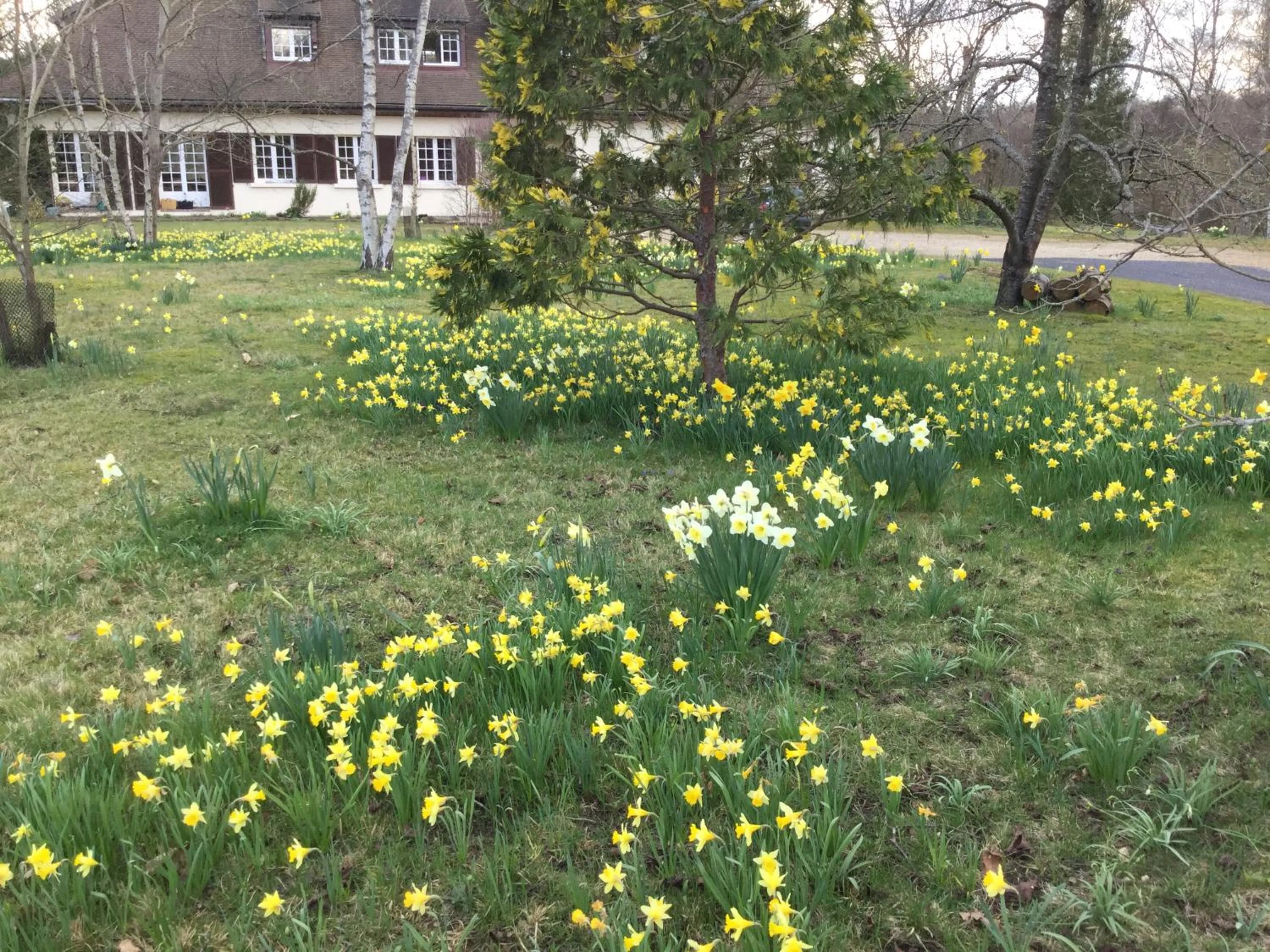 Résidence Clairbois, Chambres d'Hôtes