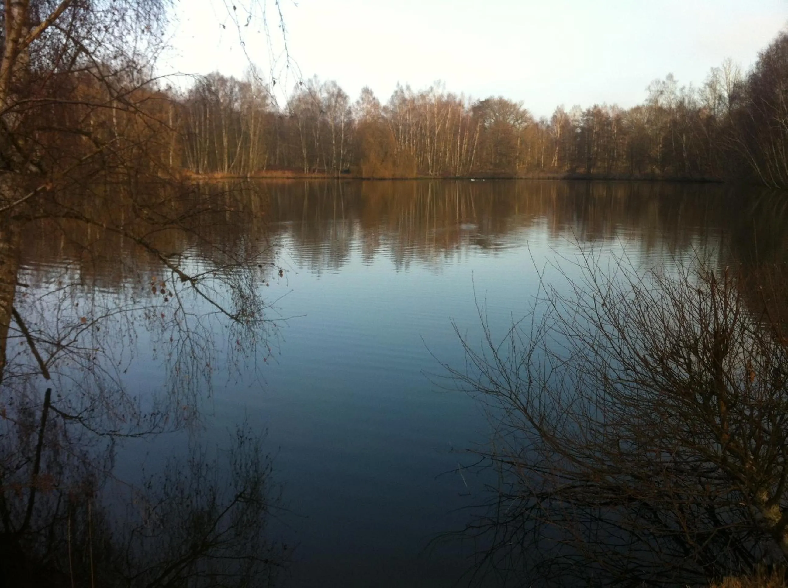 View (from property/room) in Résidence Clairbois, Chambres d'Hôtes