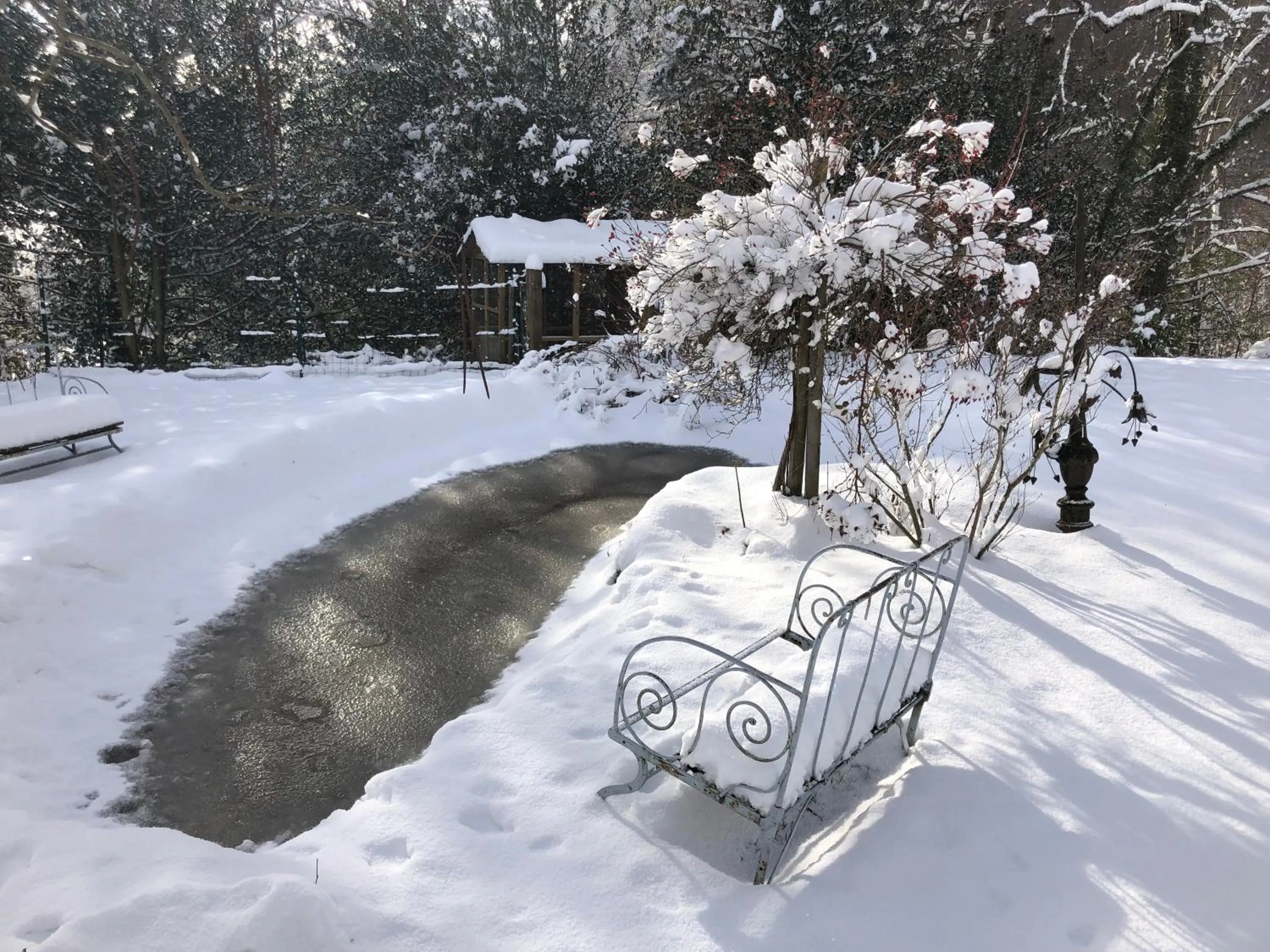 Garden view in Le Figarelou
