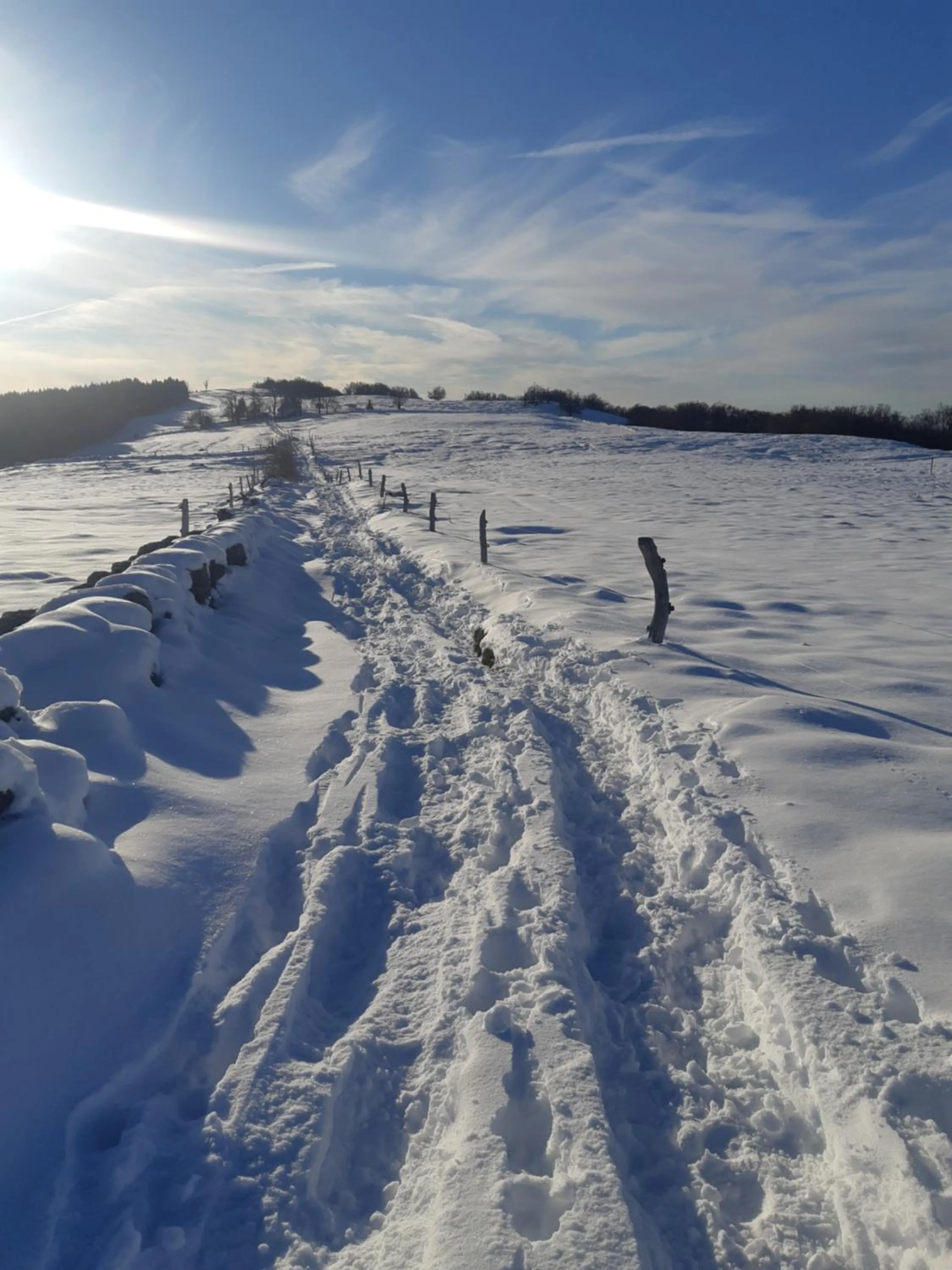 Natural landscape in Le Figarelou