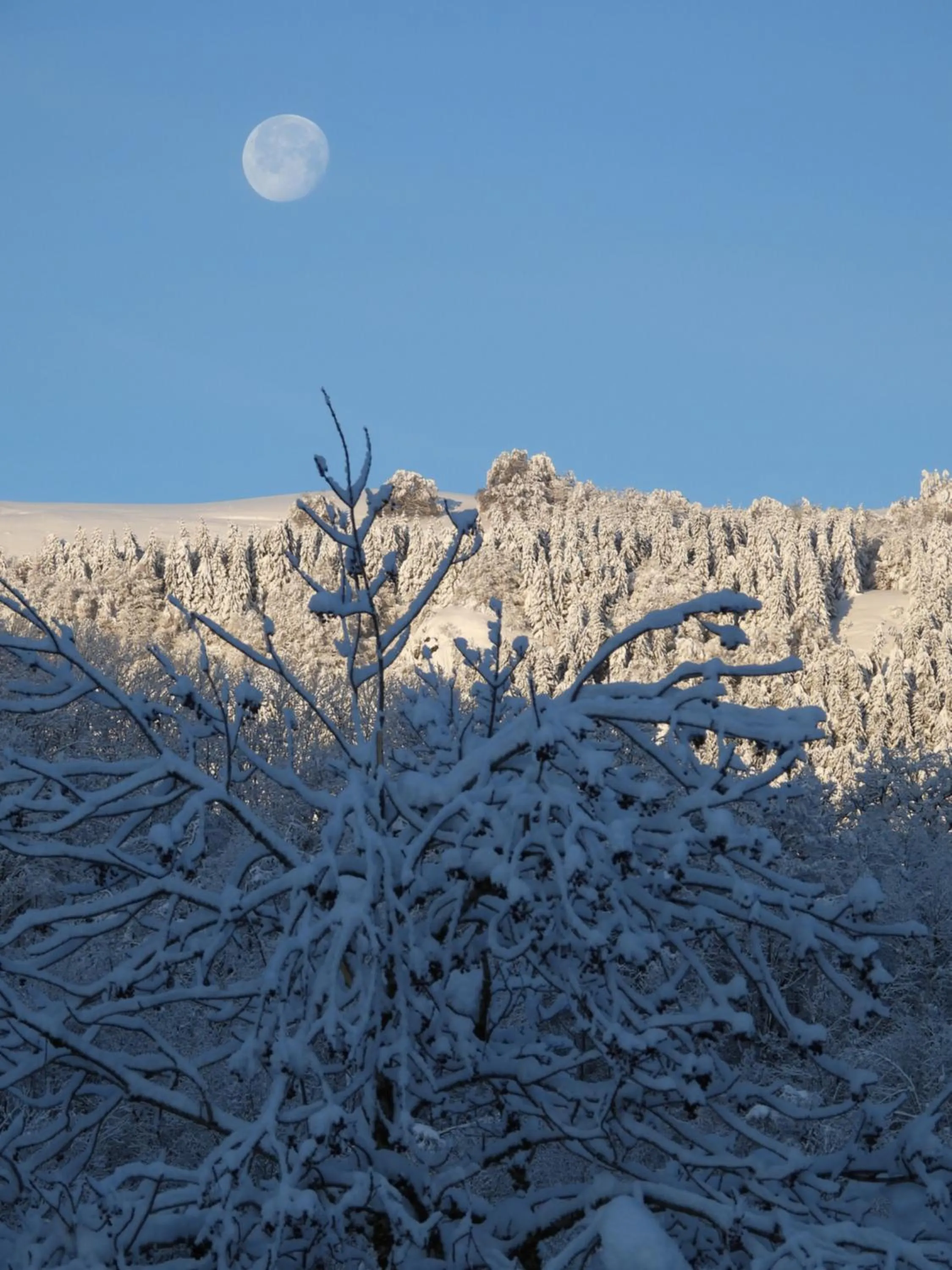 Winter in Le Figarelou