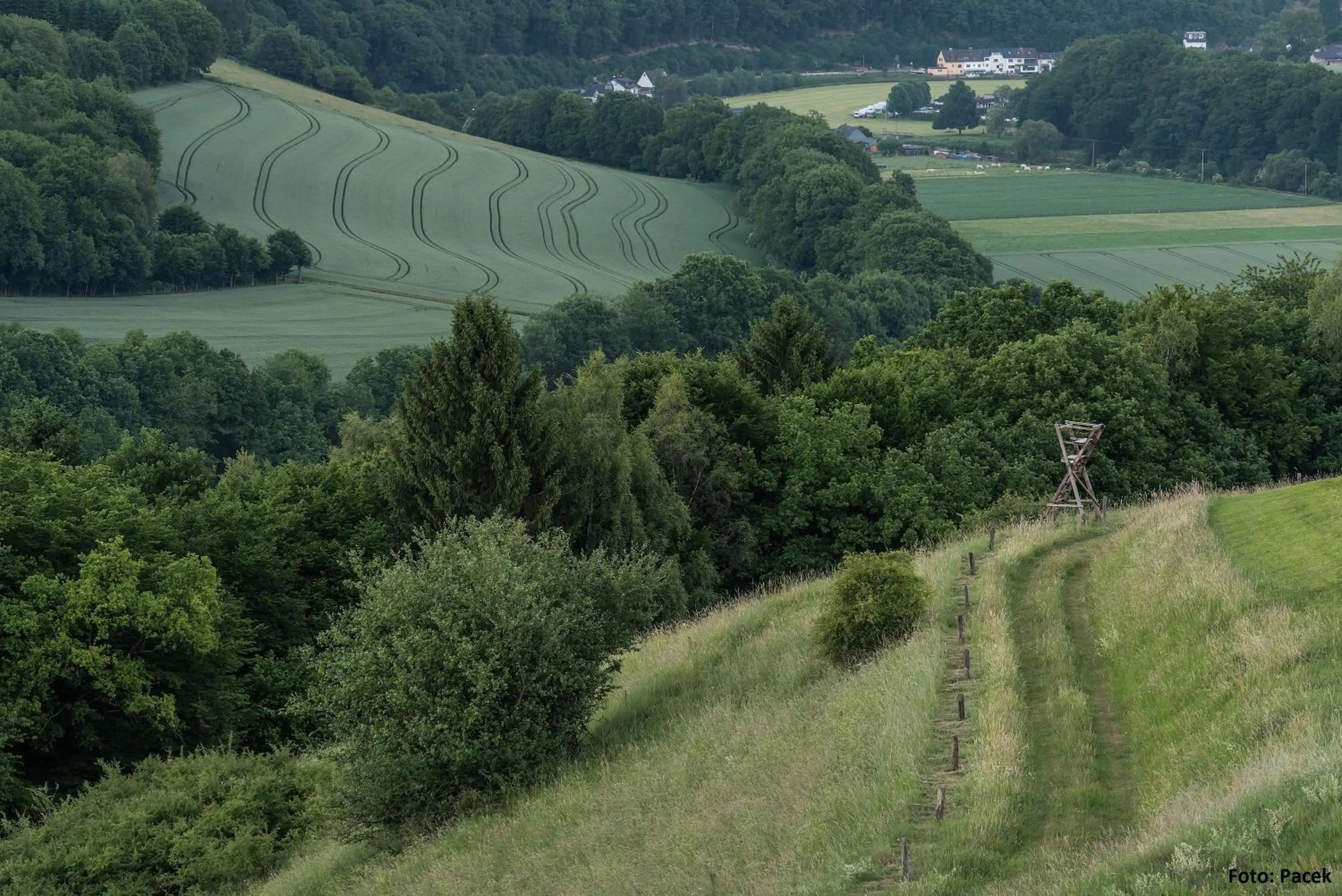 Natural landscape in Landhotel Fernblick