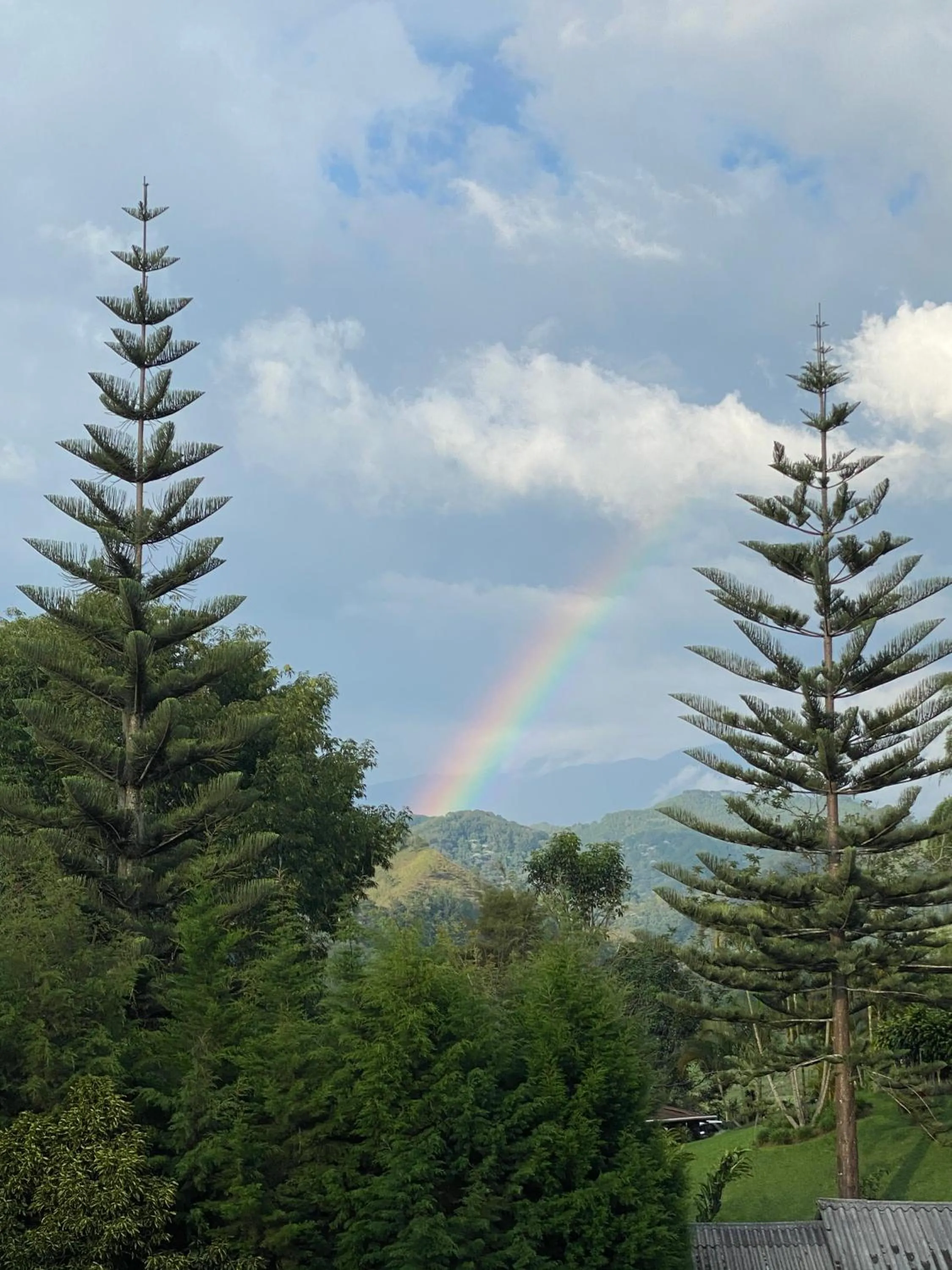 Natural landscape in Hotel Mirador de Boquia Salento