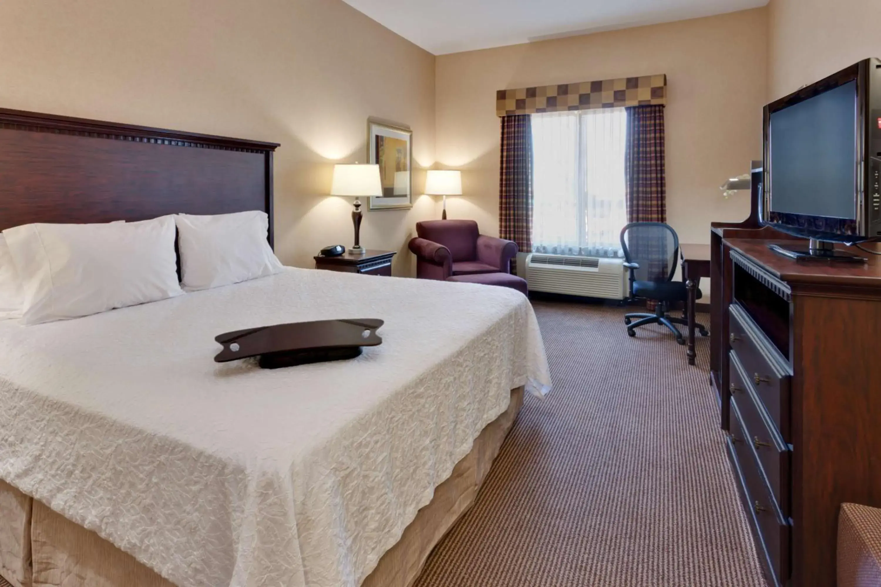 King Room with King Bed - Non-Smoking in Hampton Inn & Suites Sacramento-Airport-Natomas King Room with King Bed - Non-Smoking in Hampton Inn & Suites Sacramento-Airport-Natomas
