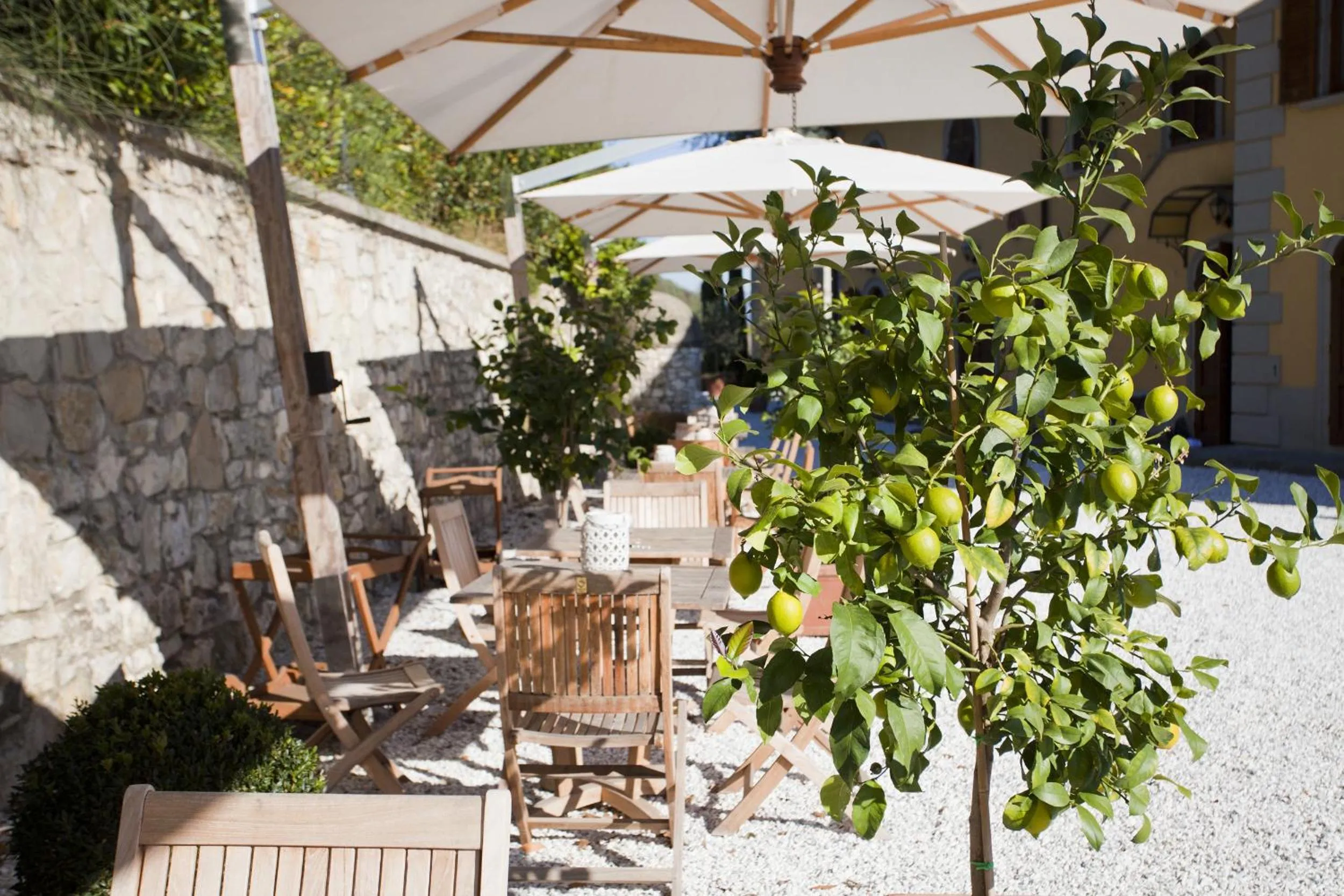 Garden in Relais Villa Belvedere