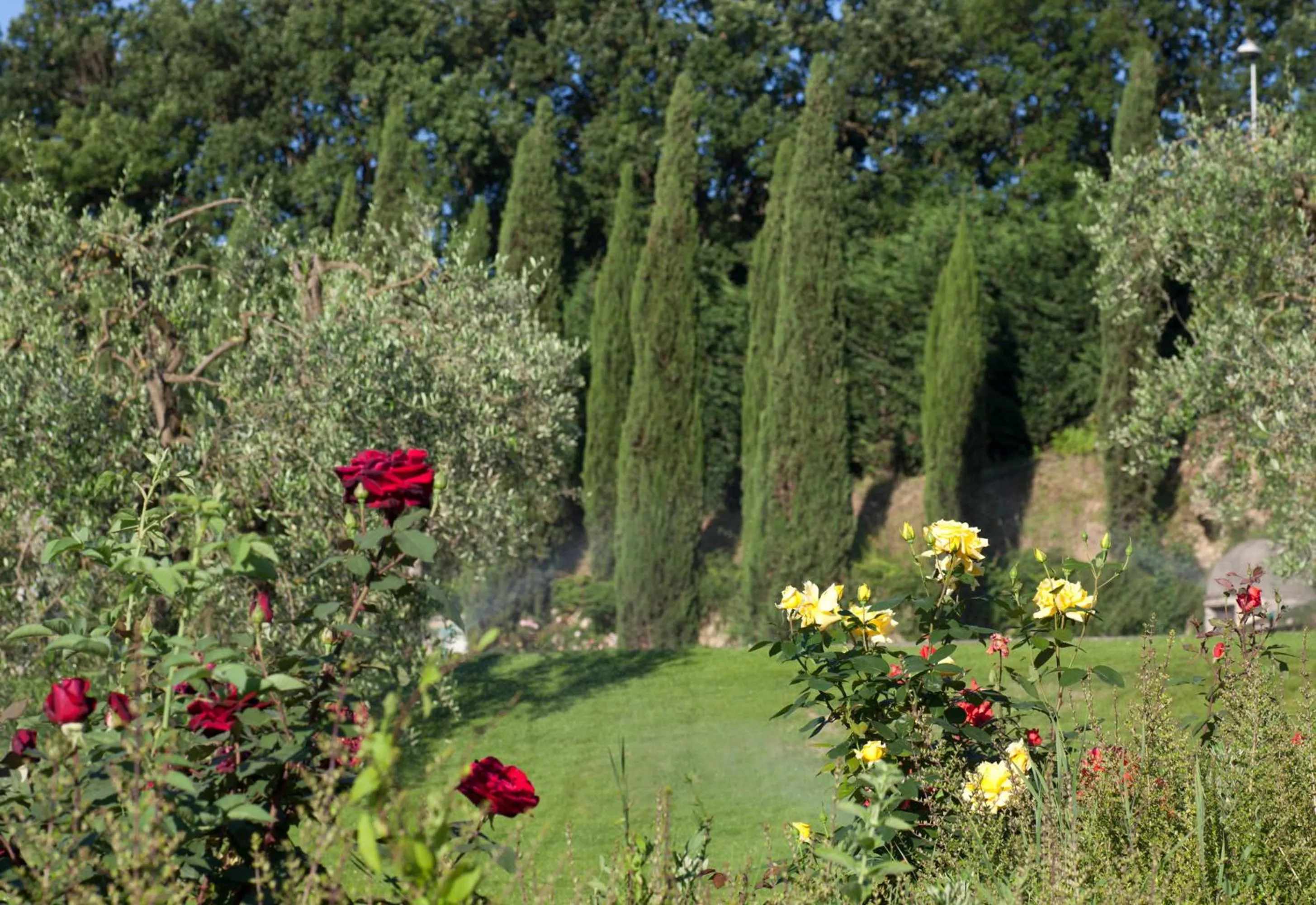 Garden in Relais Villa Belvedere